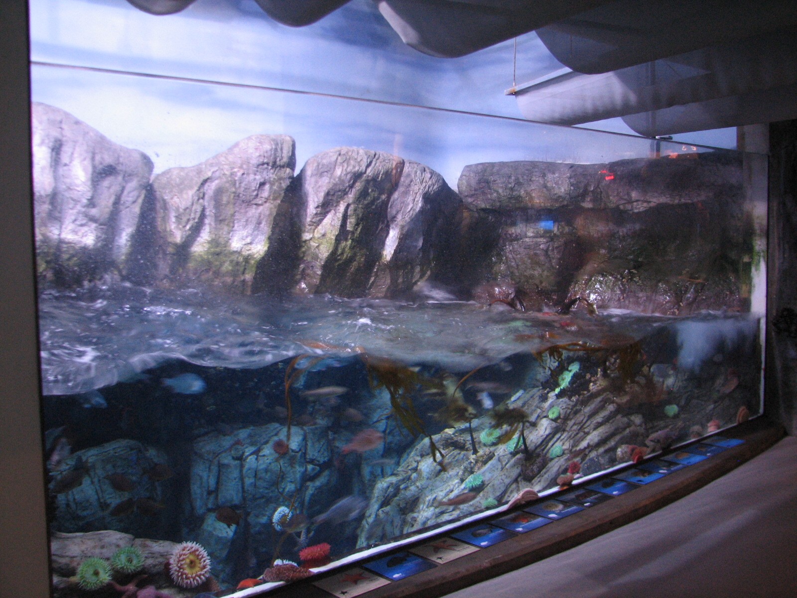 Northern Pacific Gallery - Surge Channel - Left Exhibit