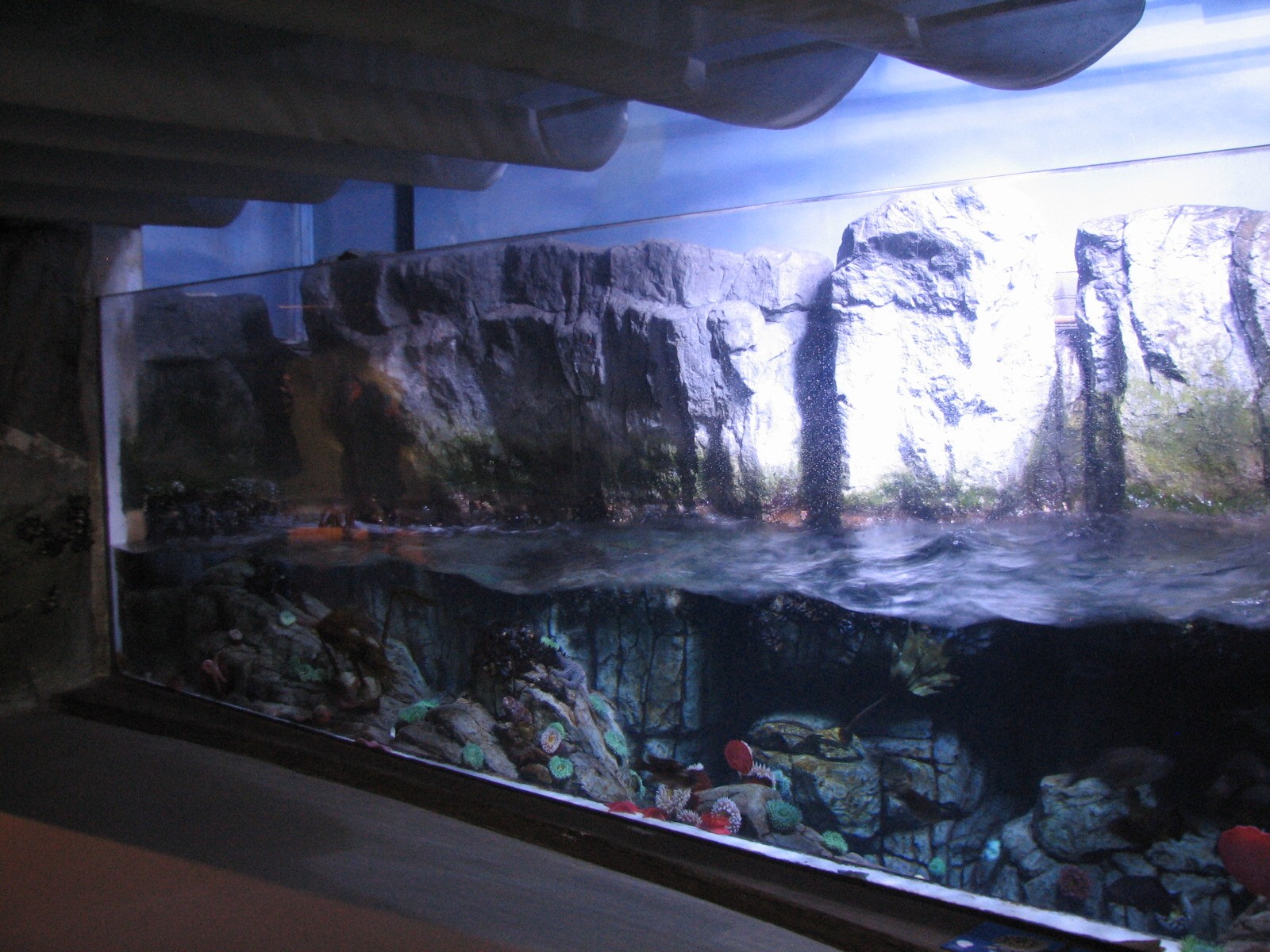 Northern Pacific Gallery - Surge Channel - Right Exhibit