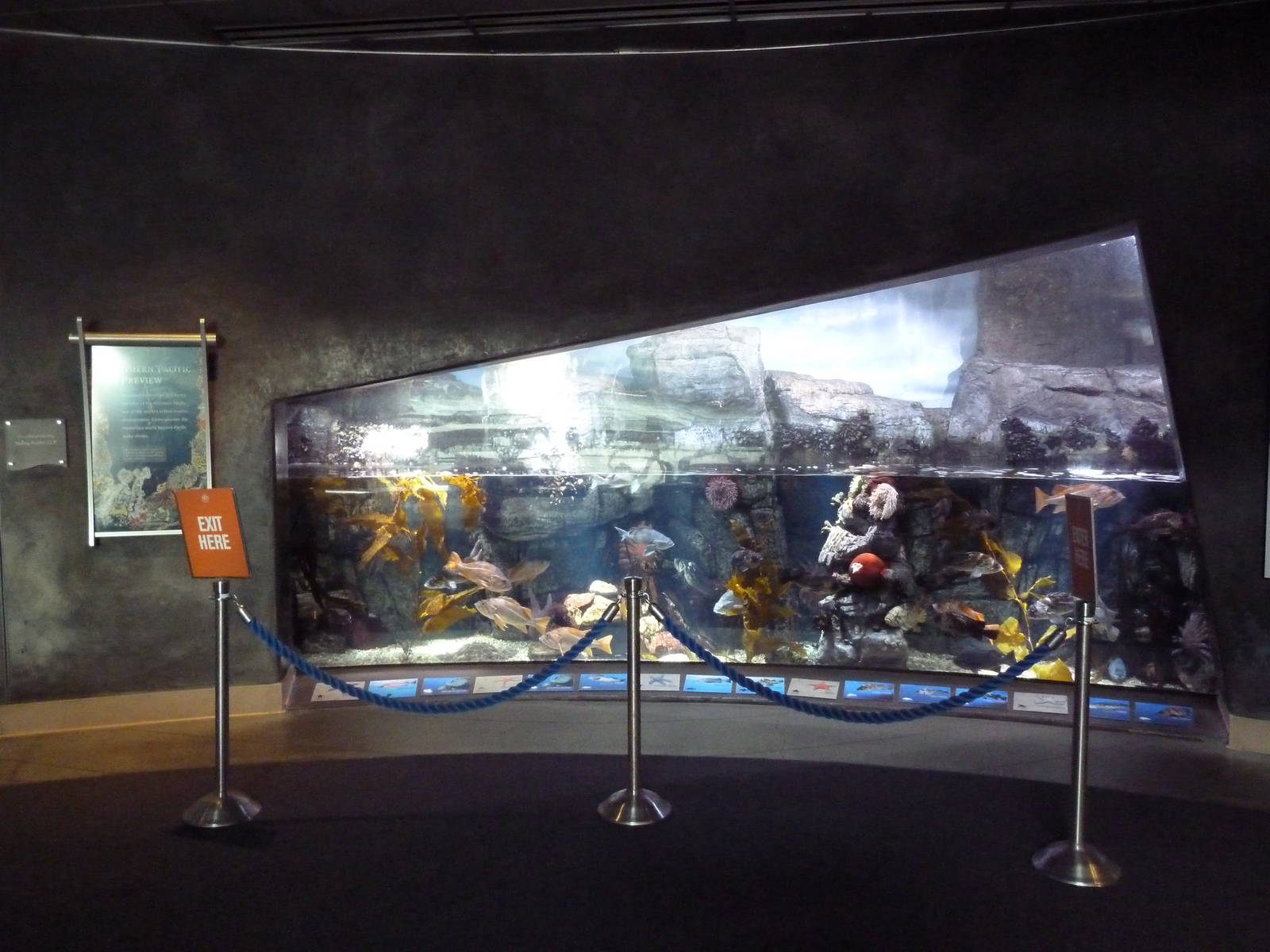 Northern Pacific Preview Exhibit