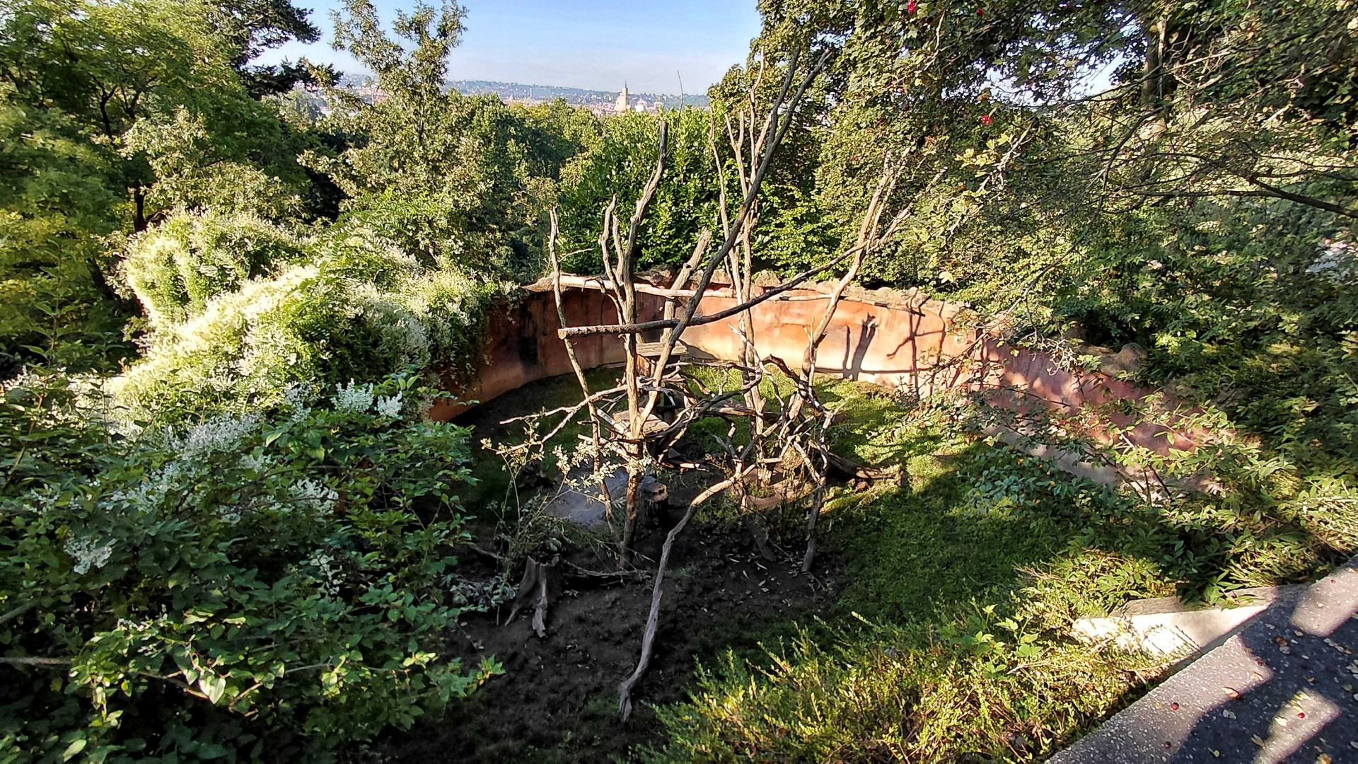 Northern porcupine exhibit