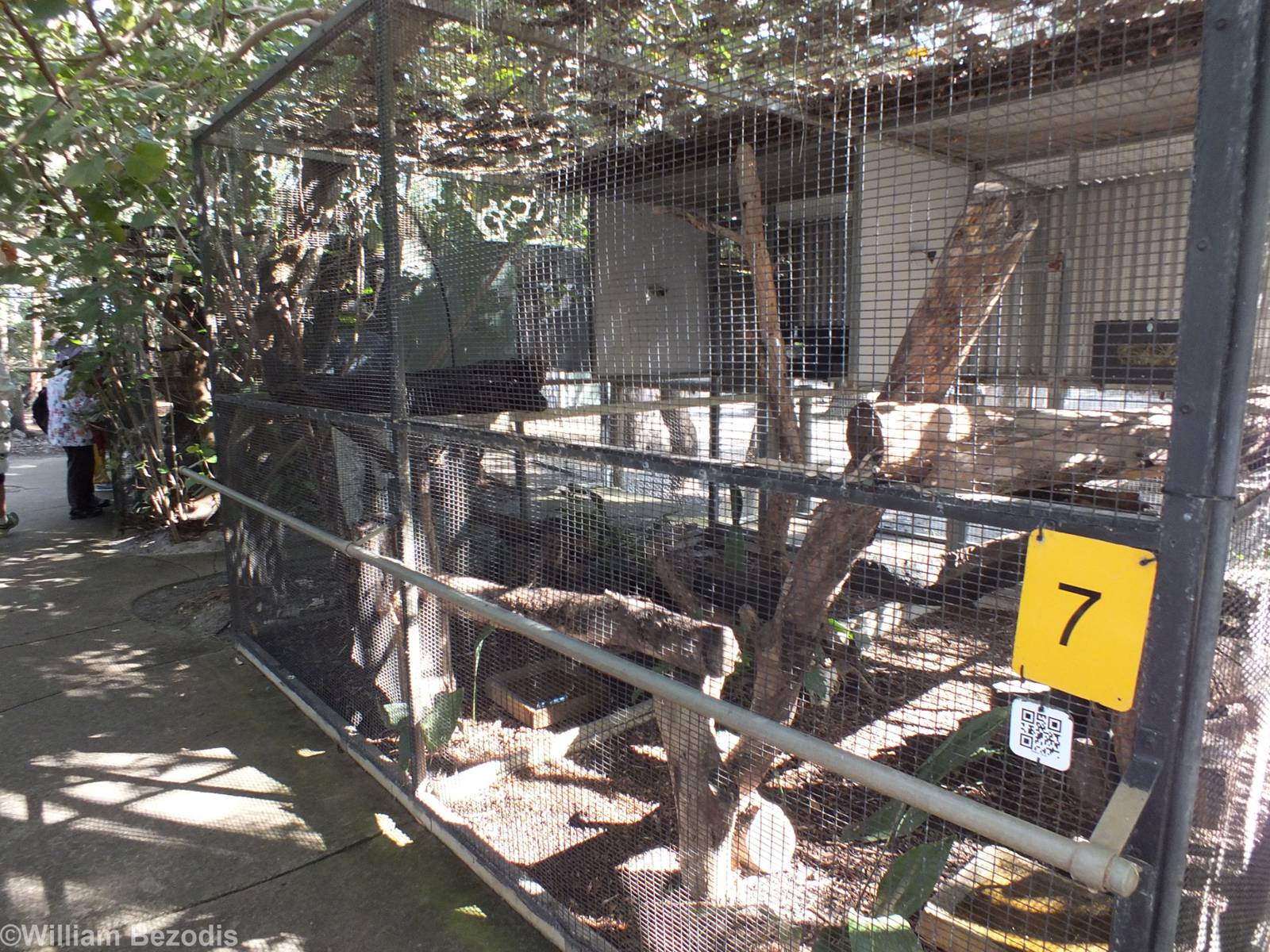 Northern Quoll Enclosure