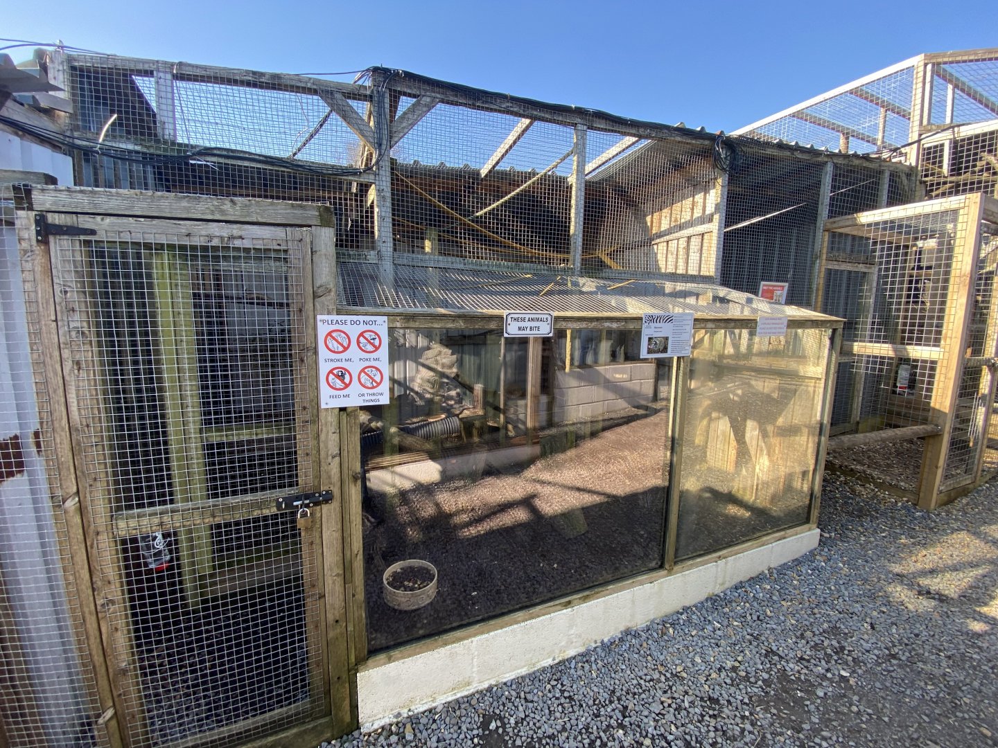 Northern raccoon enclosure 020325