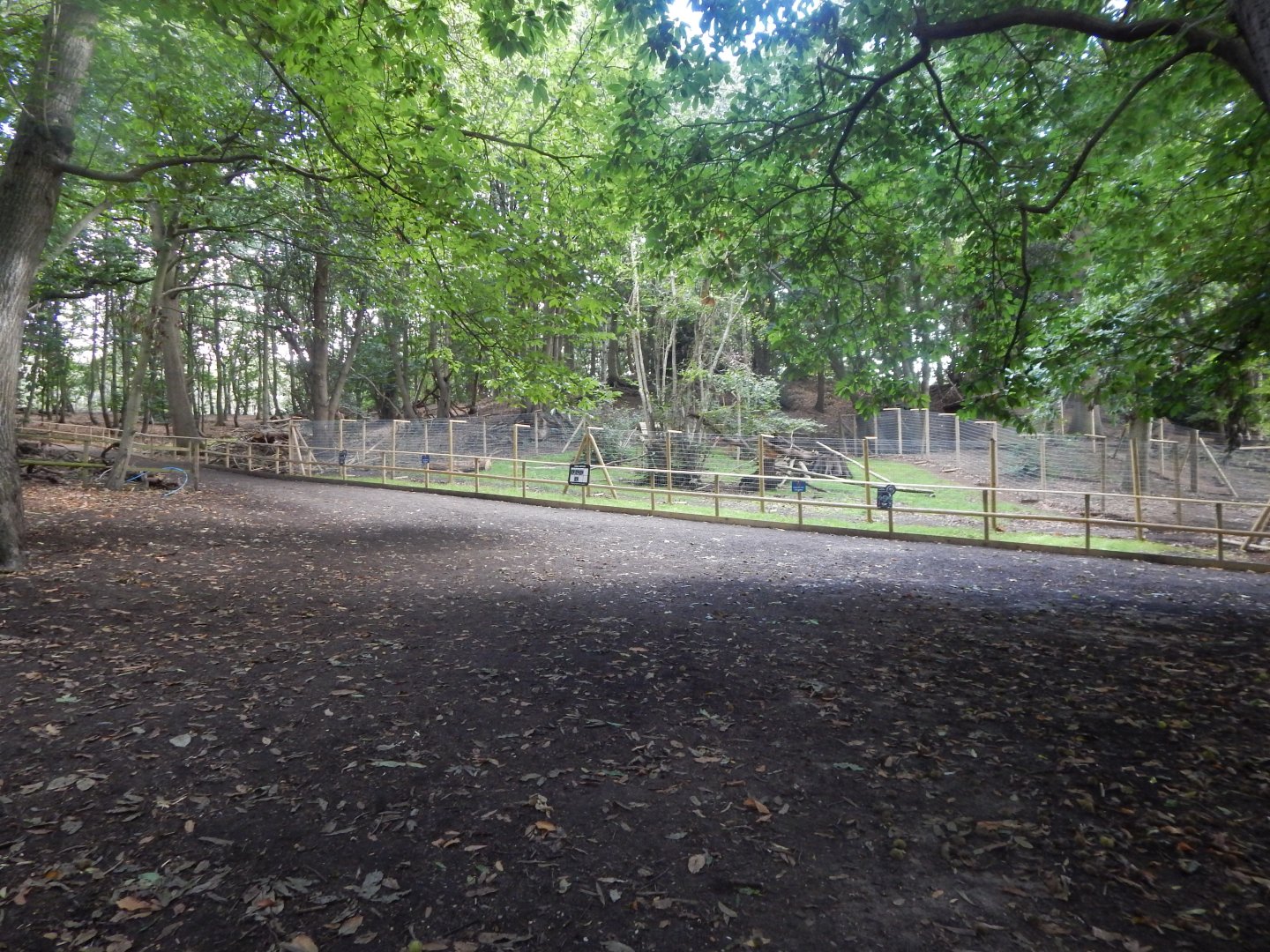 Northern raccoon enclosure 130925