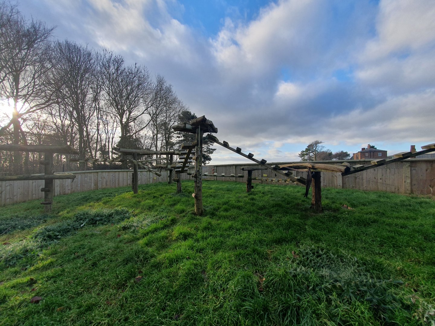 Northern Raccoon enclosure 17/12/23