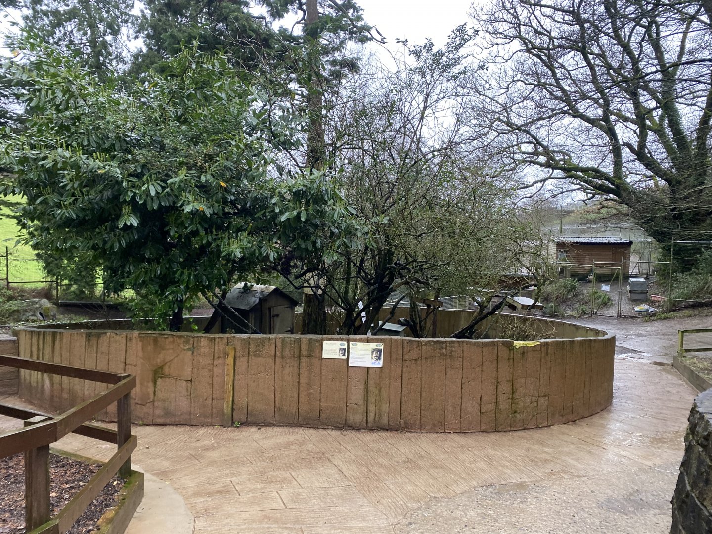 Northern raccoon enclosure 170224