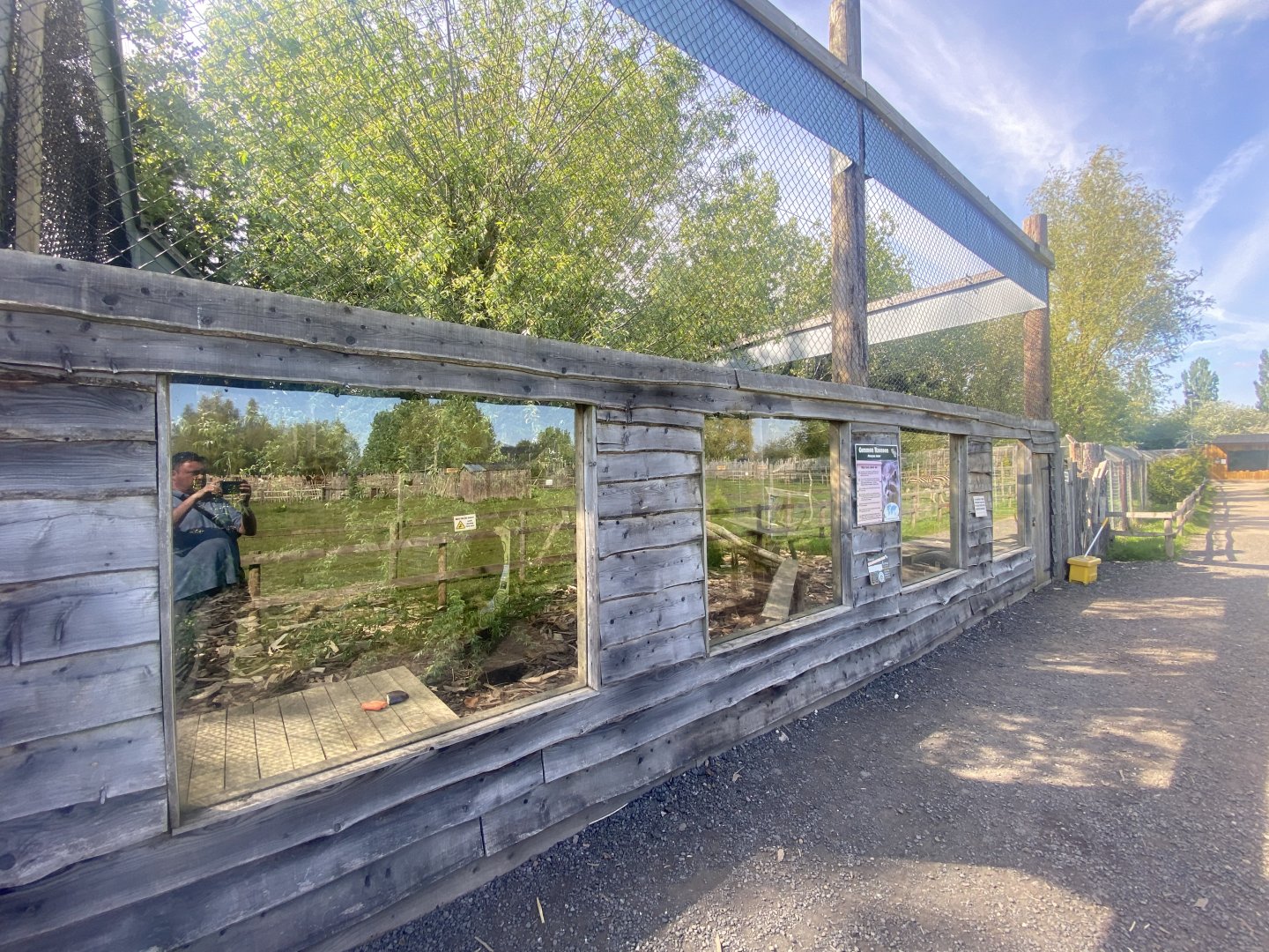 Northern raccoon enclosure 280425