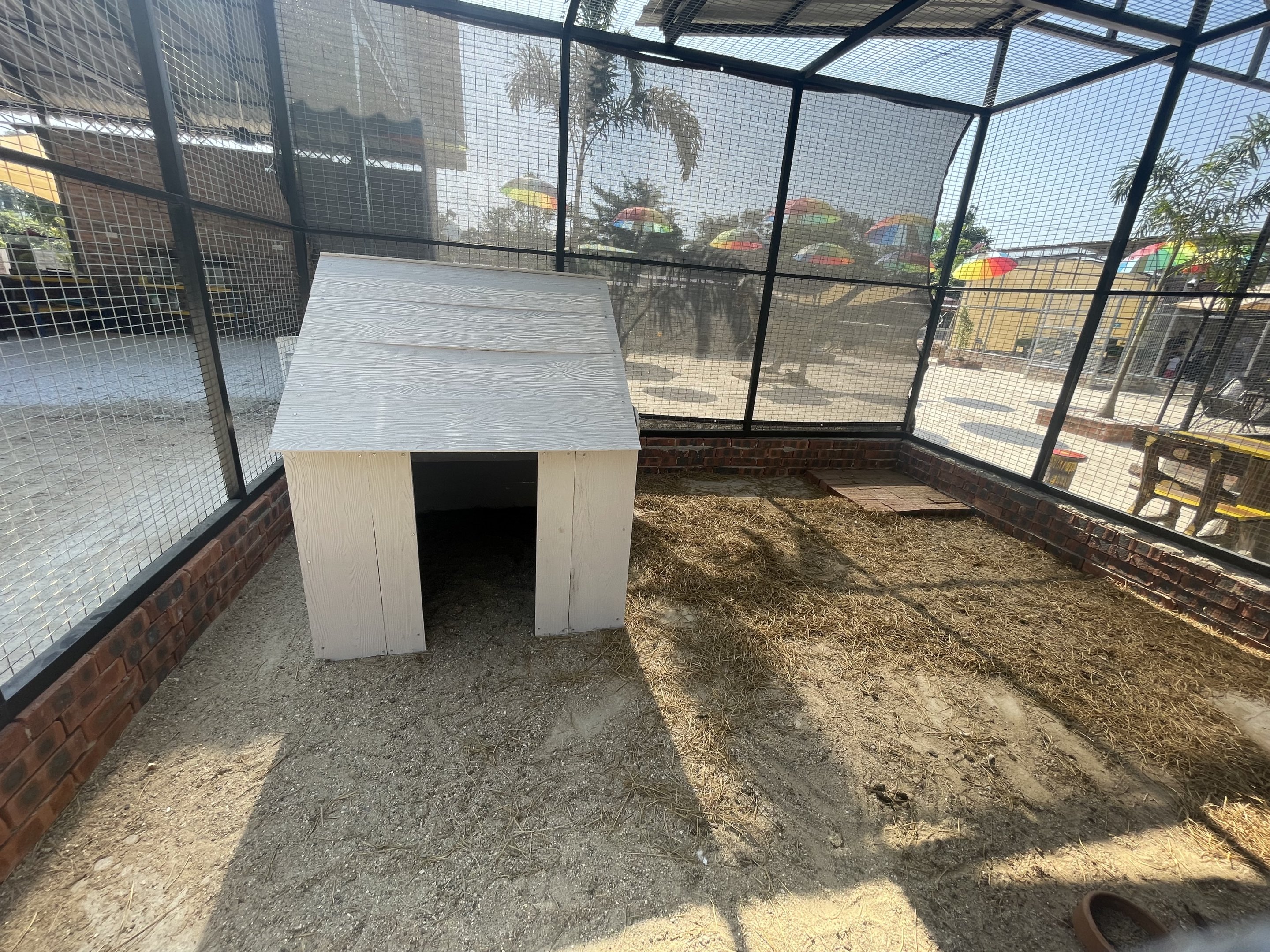 Northern Racoon Enclosure