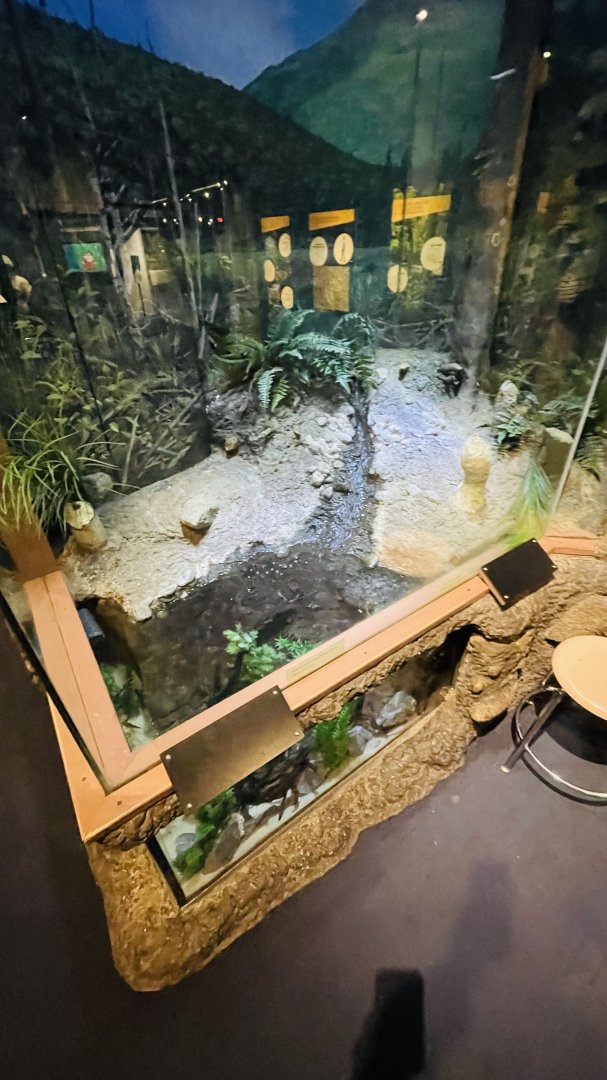 Northern Redbelly Dace and Swamp Darter Enclosure