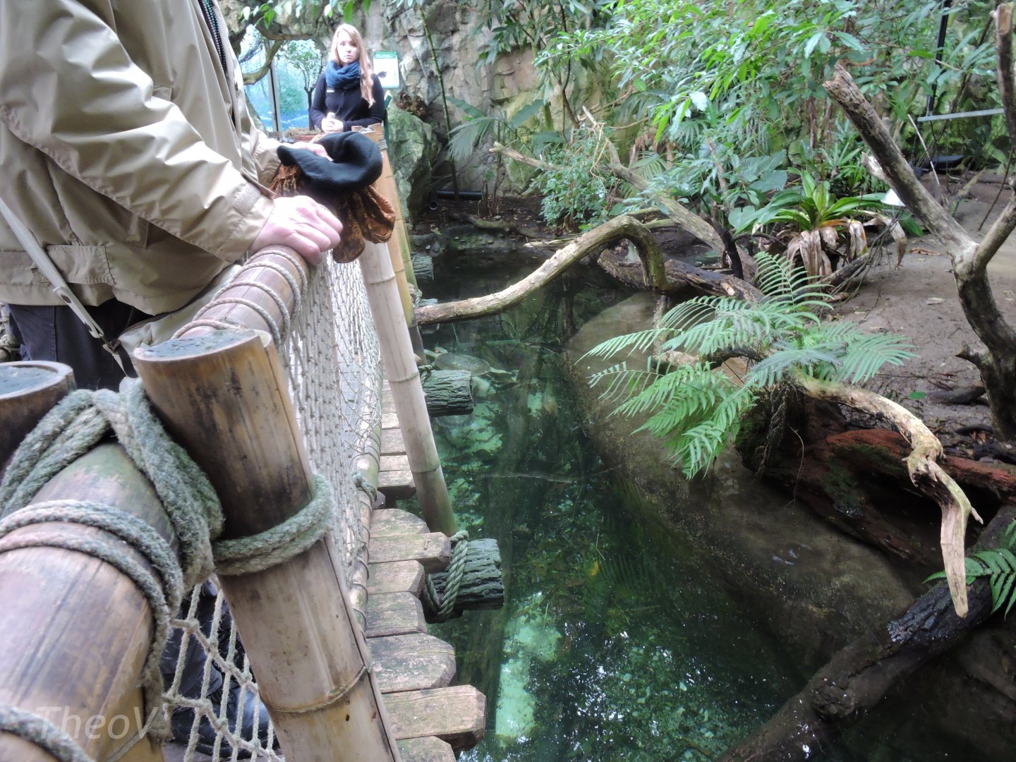 Northern river terrapin exhibit [2016]