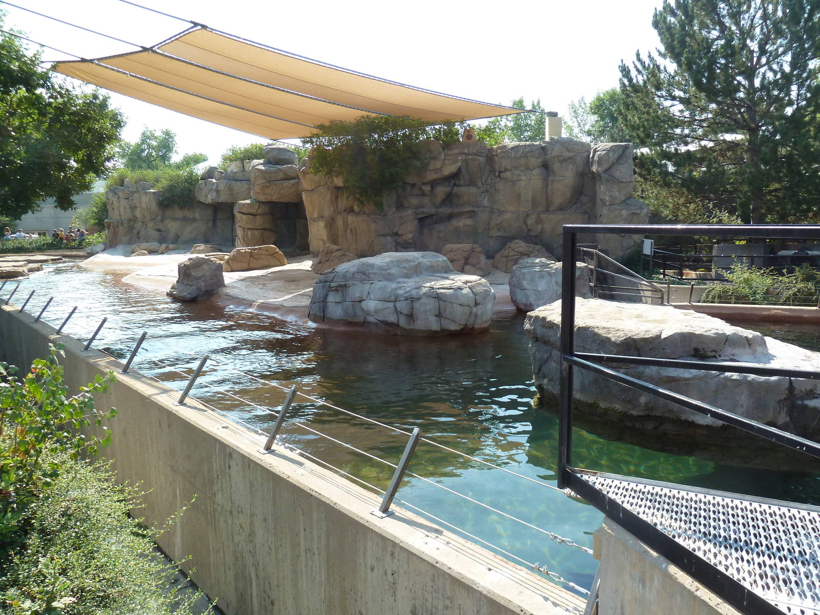 Northern Shores - California Sea Lion Exhibit