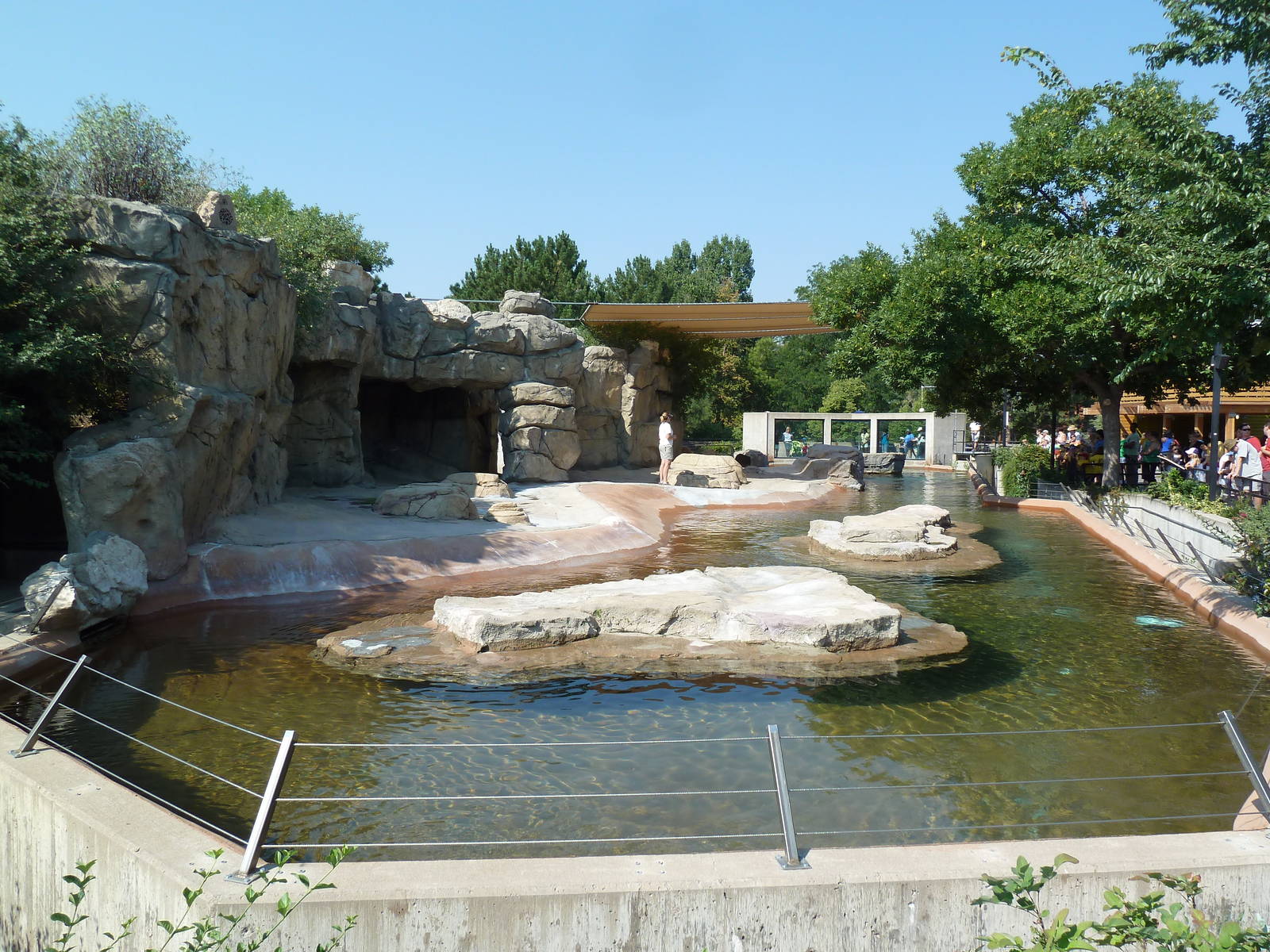 Northern Shores - California Sea Lion Exhibit