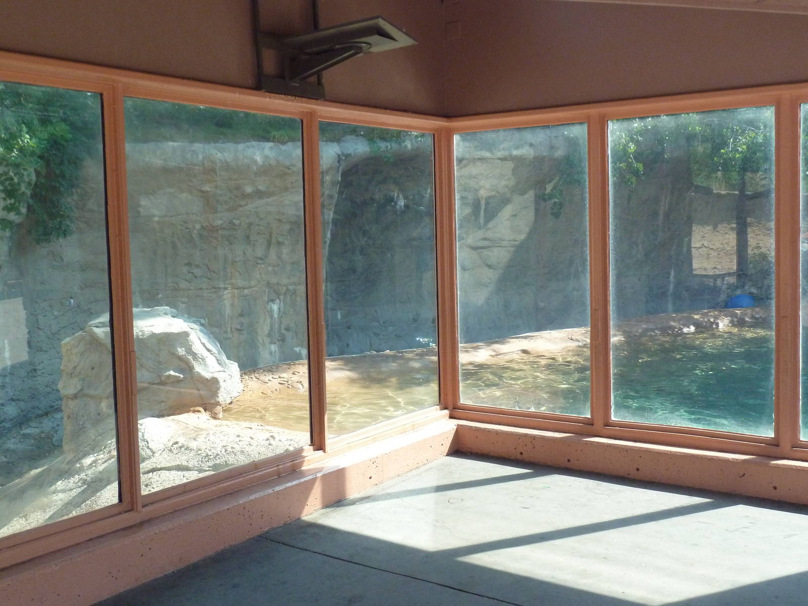 Northern Shores - Grizzly Bear Exhibit