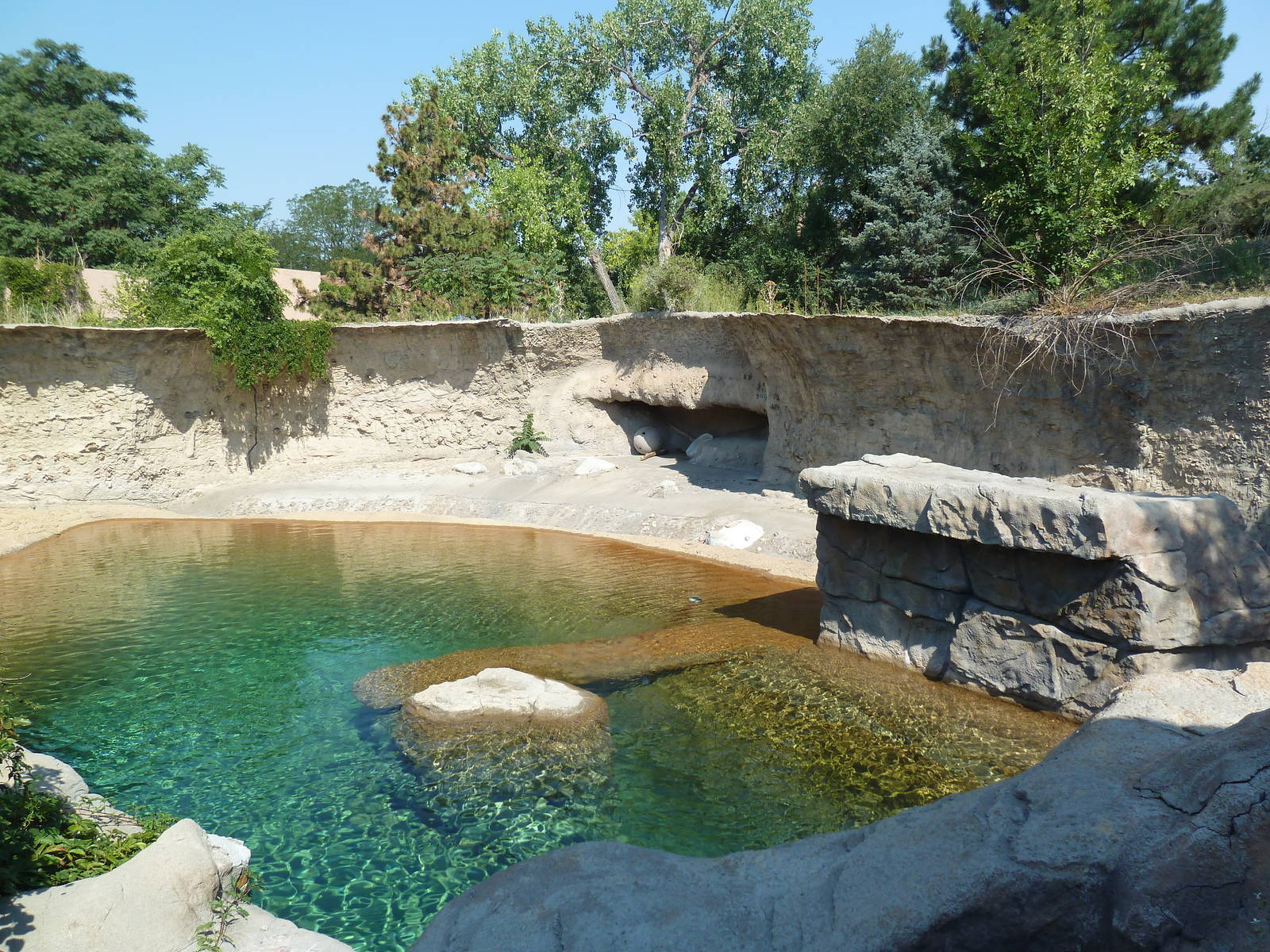 Northern Shores - Polar Bear Exhibit