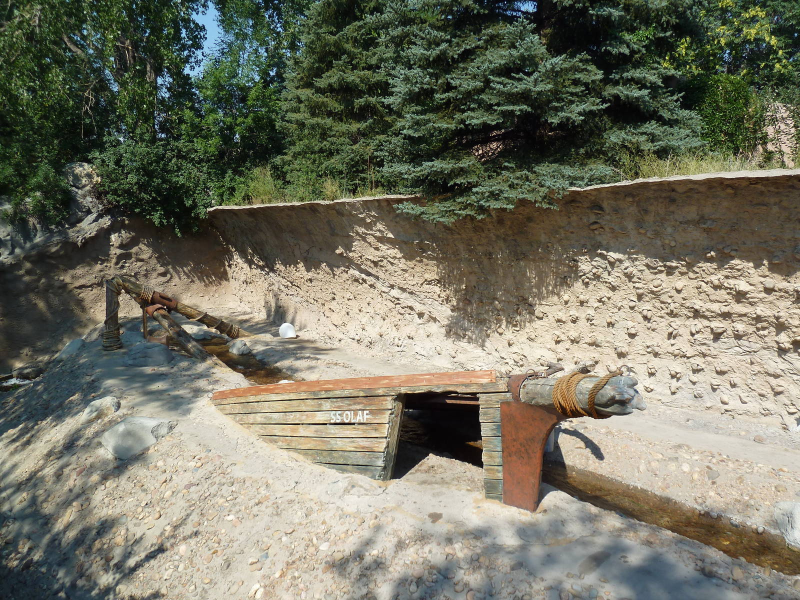 Northern Shores - Polar Bear Exhibit