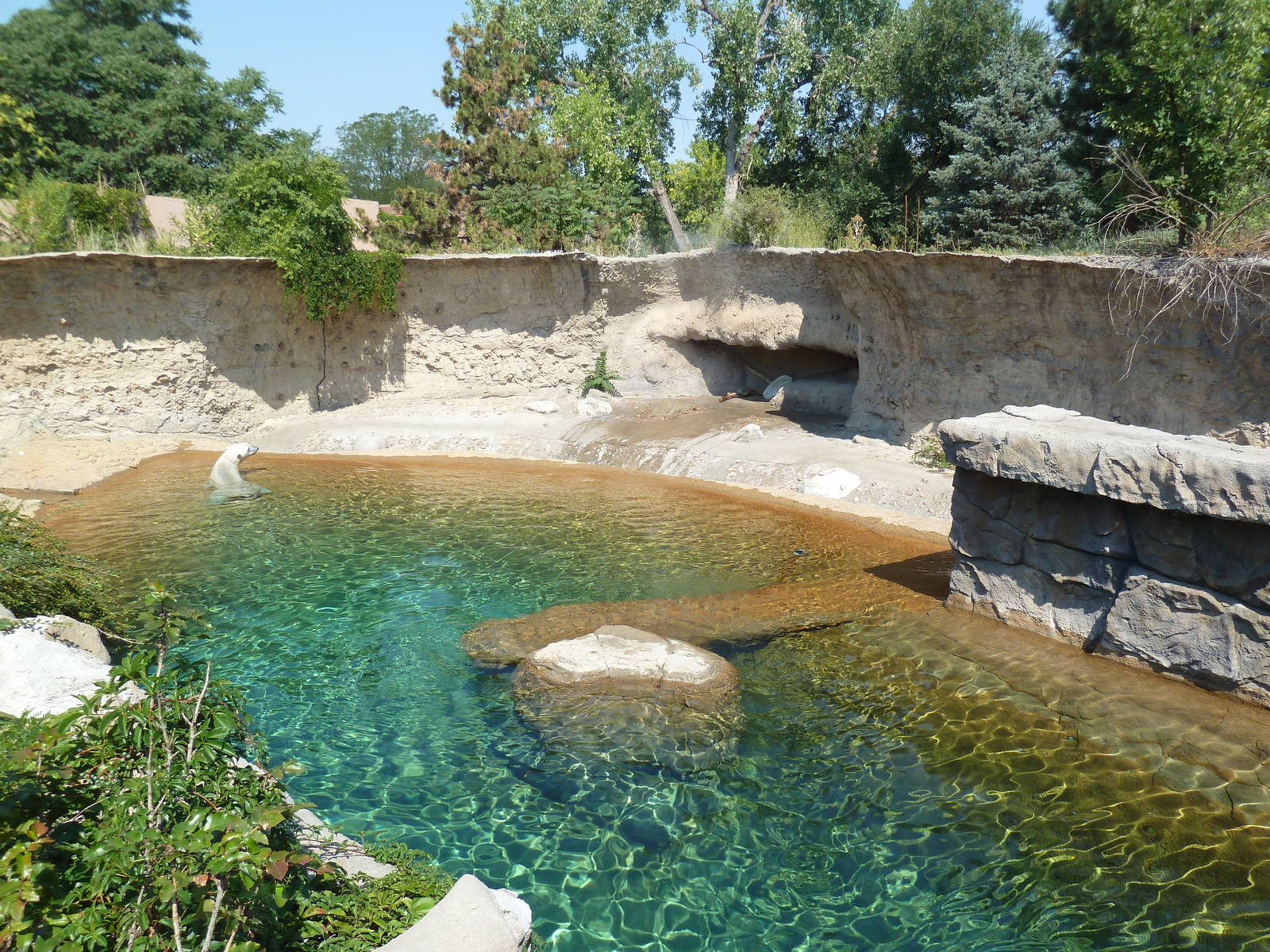 Northern Shores - Polar Bear Exhibit