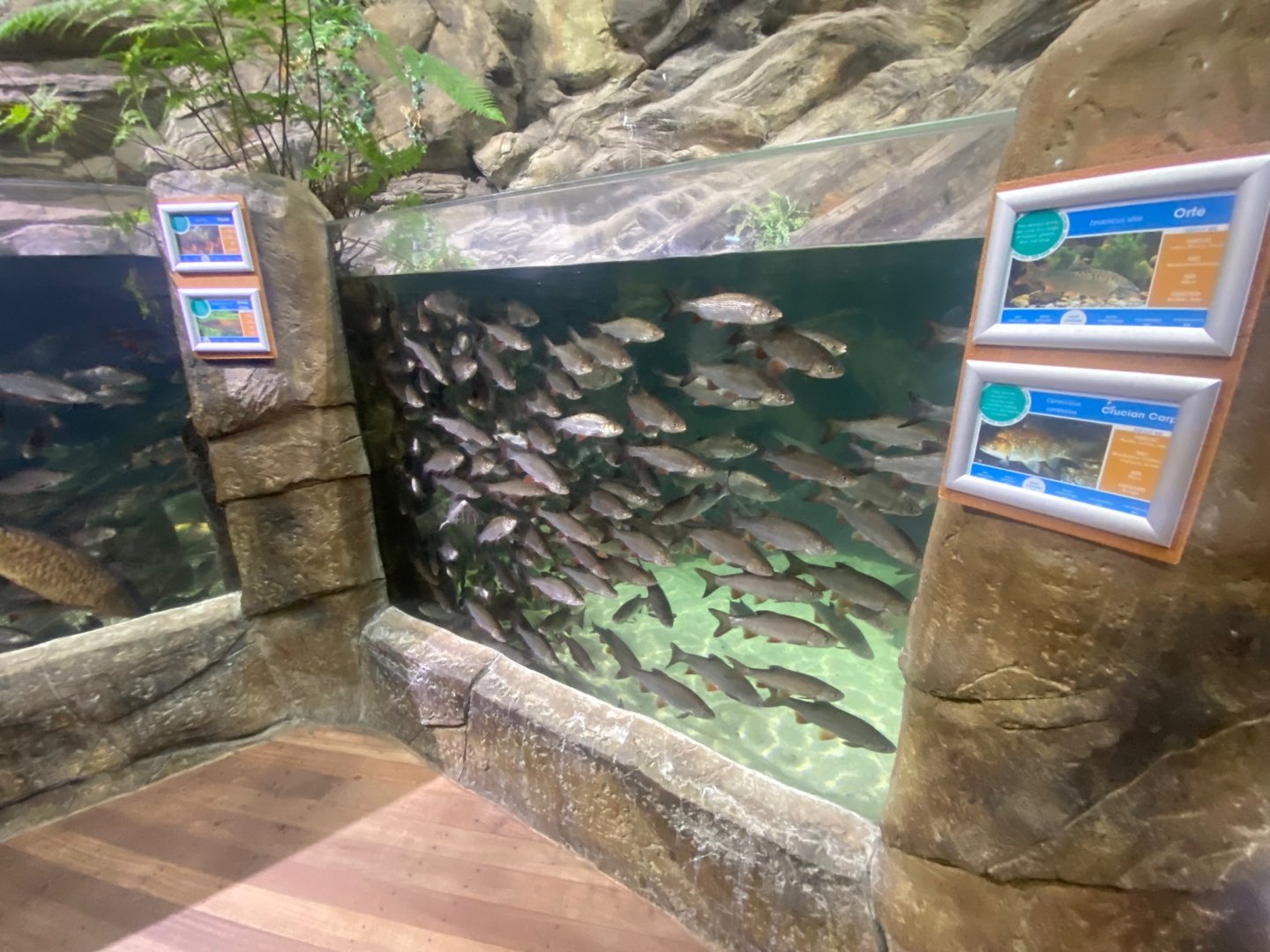 Northern Streams - mixed exhibit 251123