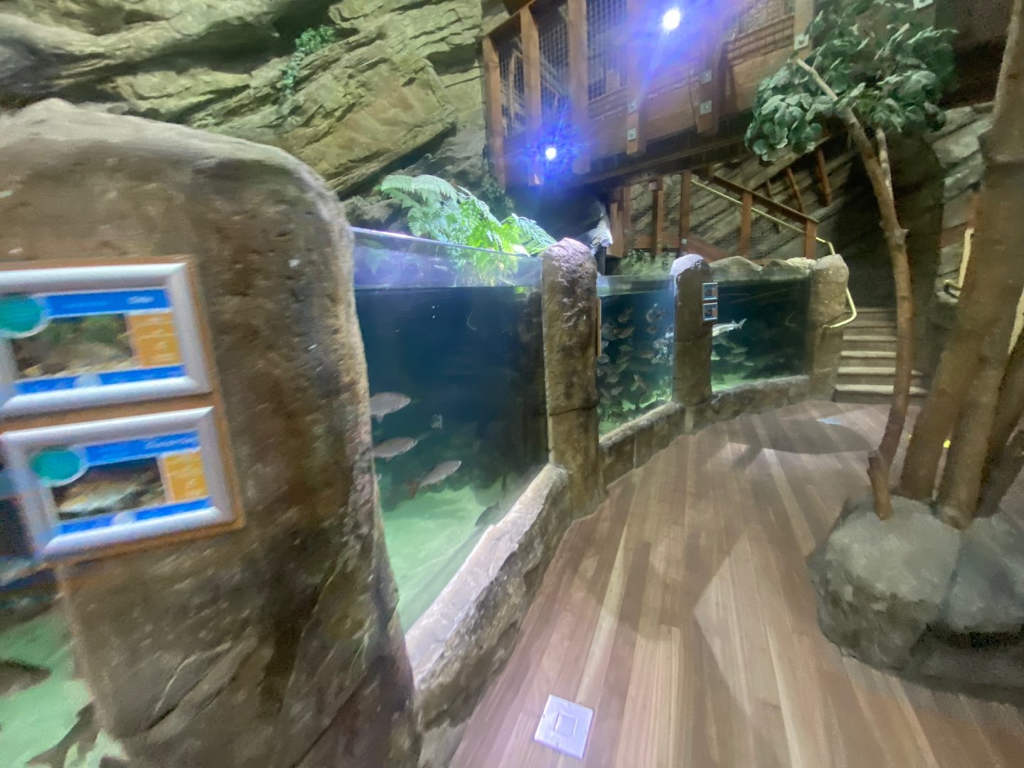 Northern Streams - mixed exhibit 251123