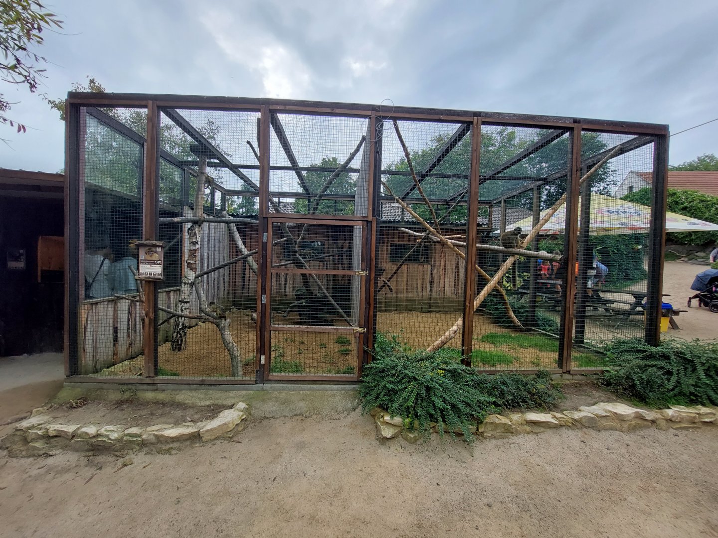 Northern talapoin and Common brown lemur exhibits