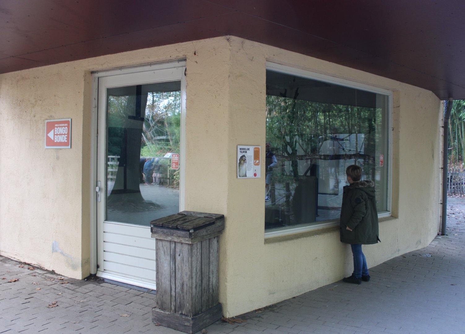 Northern talapoin indoor enclosure