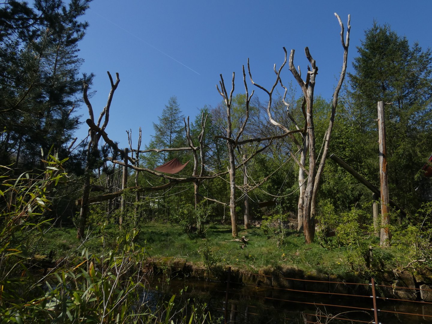 Northern Talapoin island