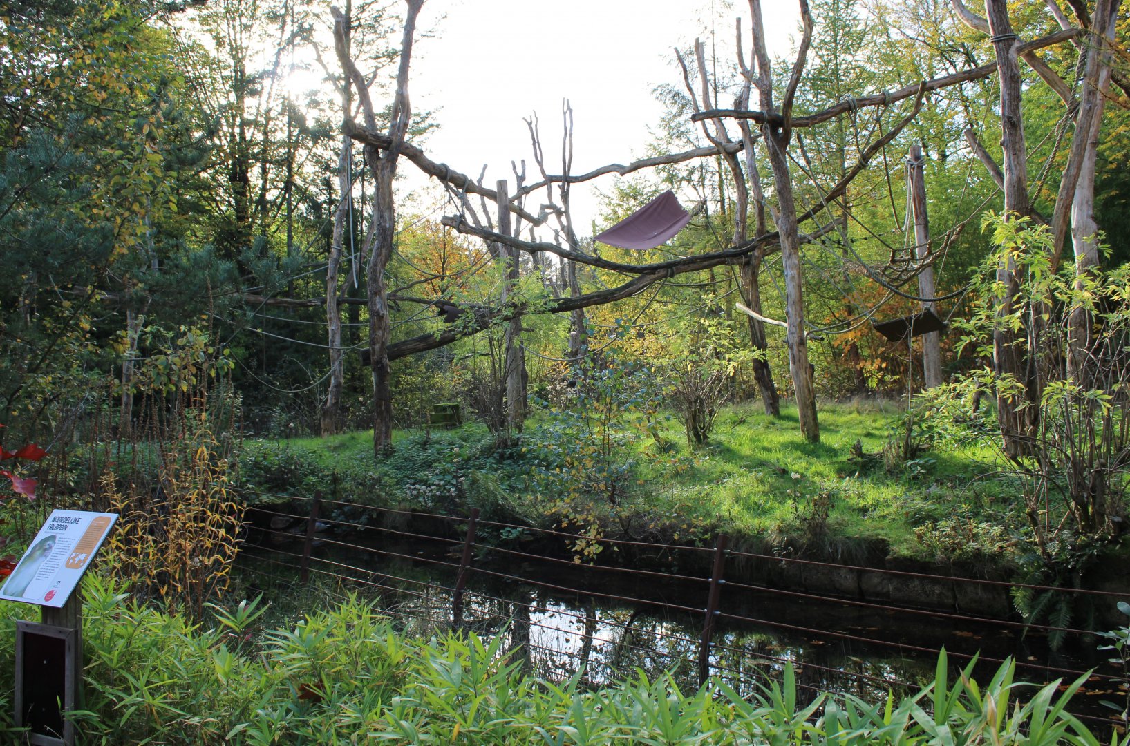 Northern talapoin island