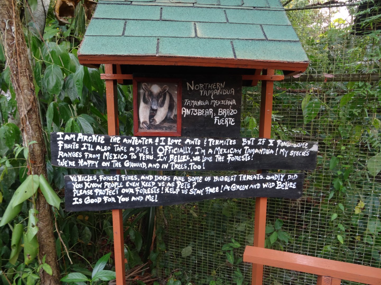 Northern Tamandua Signage