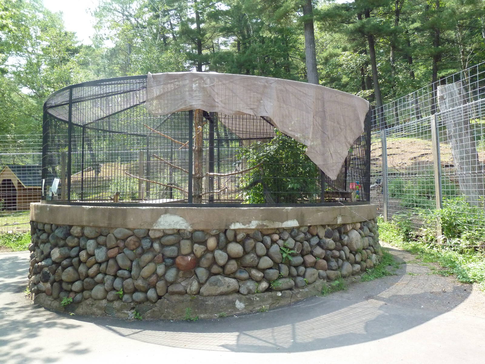 Northern Territory - American Crow Exhibit