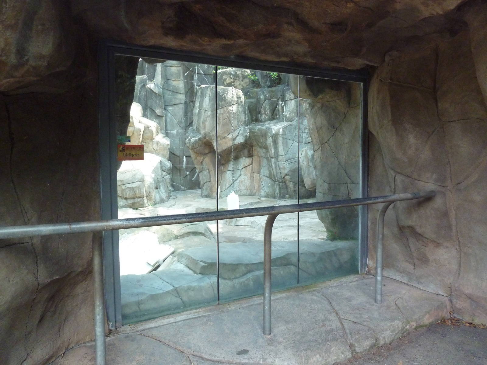 Northern Territory - Cougar Exhibit