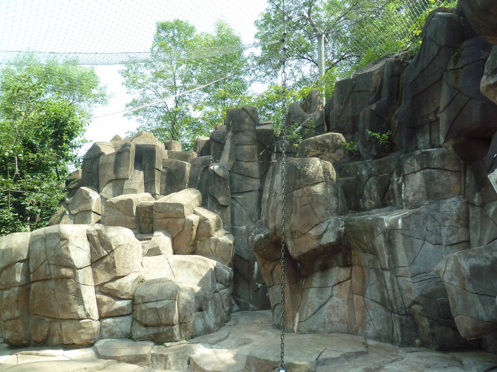 Northern Territory - Cougar Exhibit