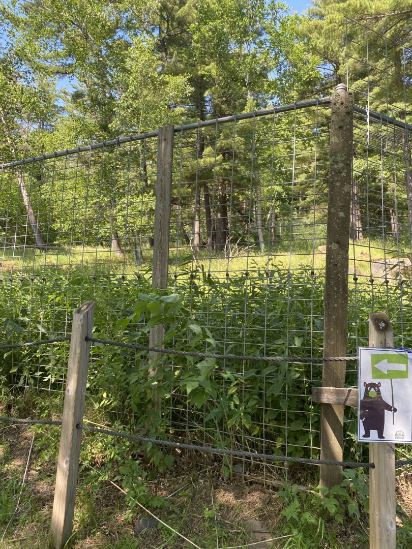 Northern Territory empty peer David’s deer exhibit