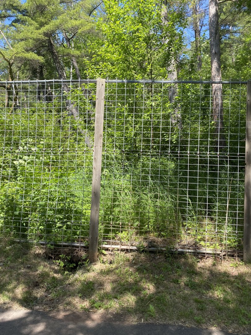Northern Territory empty Pete David’s deer exhibit