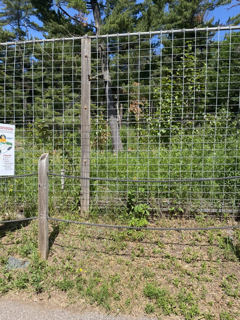 Northern Territory empty white tailed deer exhibit