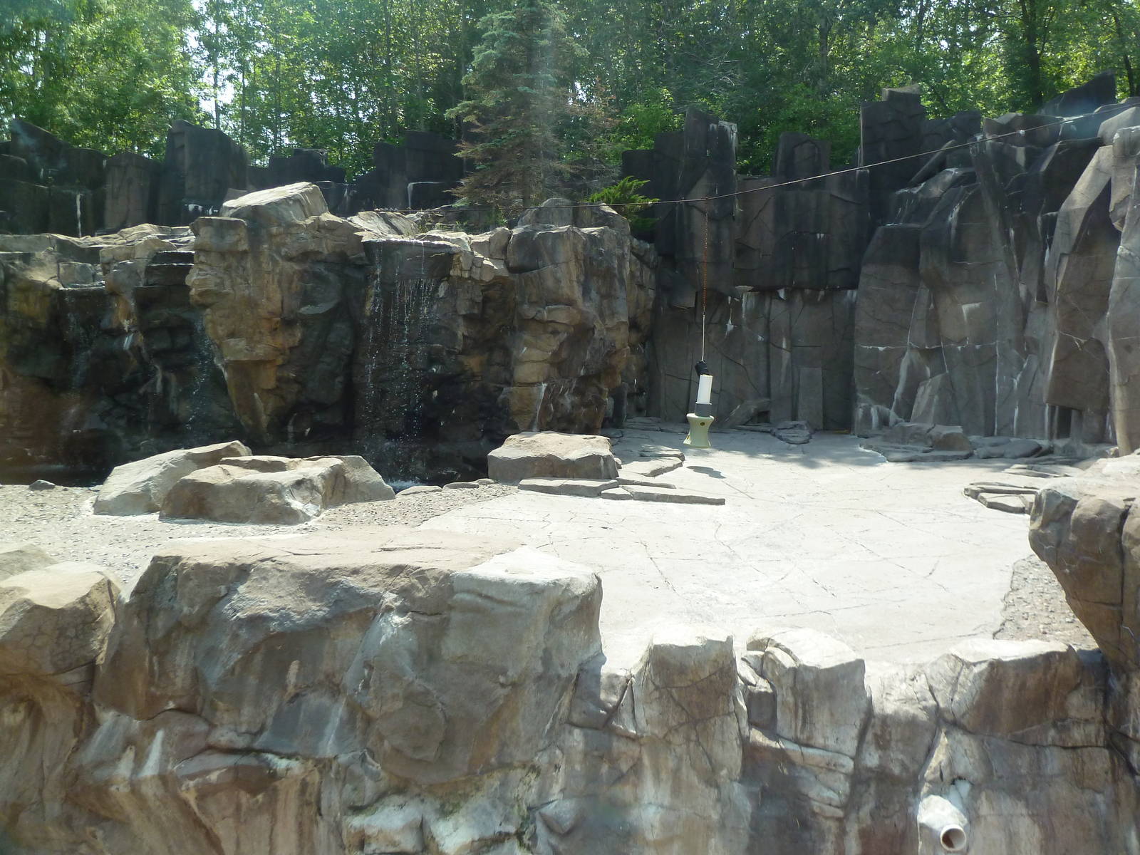 Northern Territory - Grizzly Bear/Kodiak Bear Exhibit