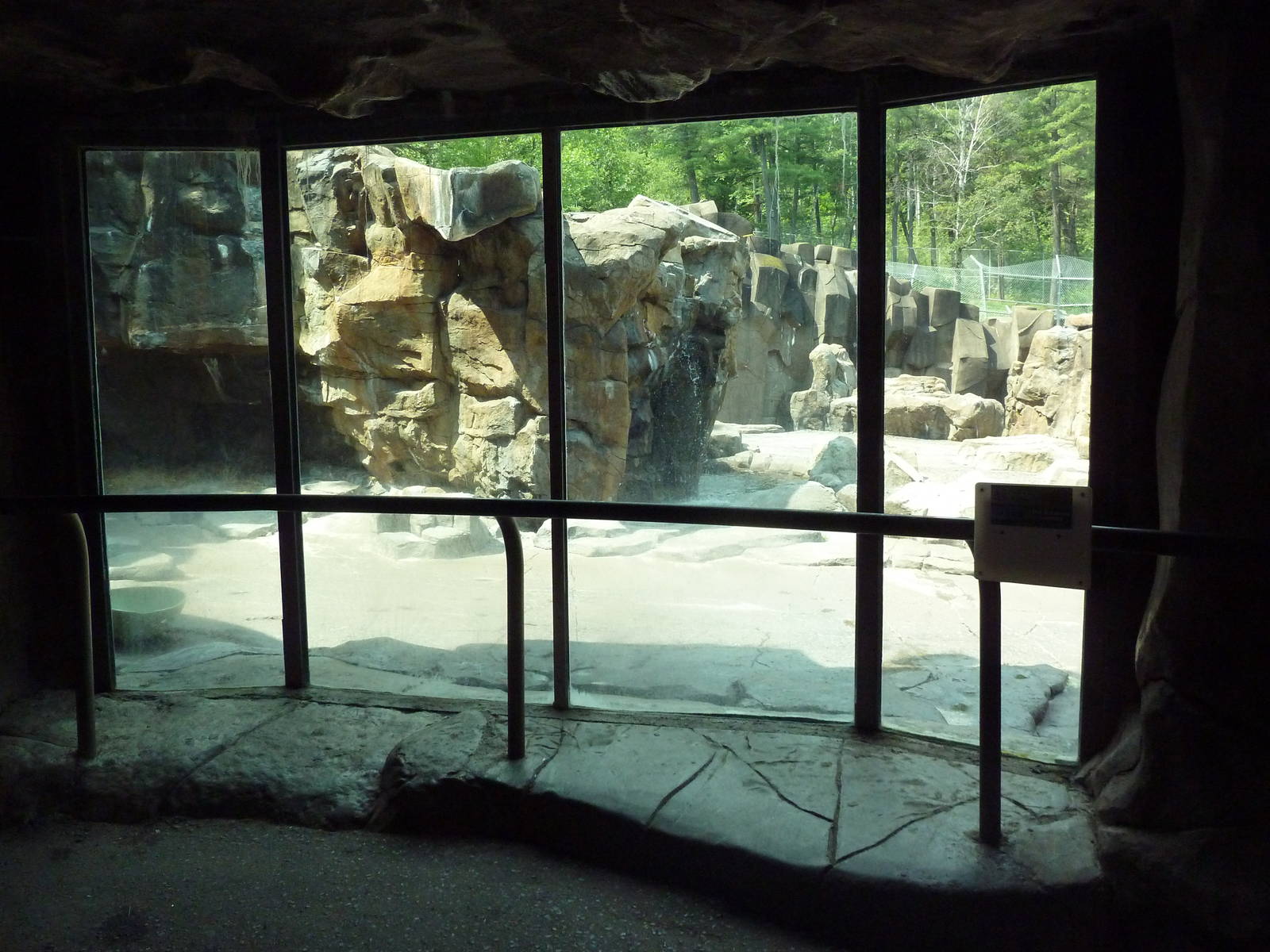 Northern Territory - Grizzly Bear/Kodiak Bear Exhibit