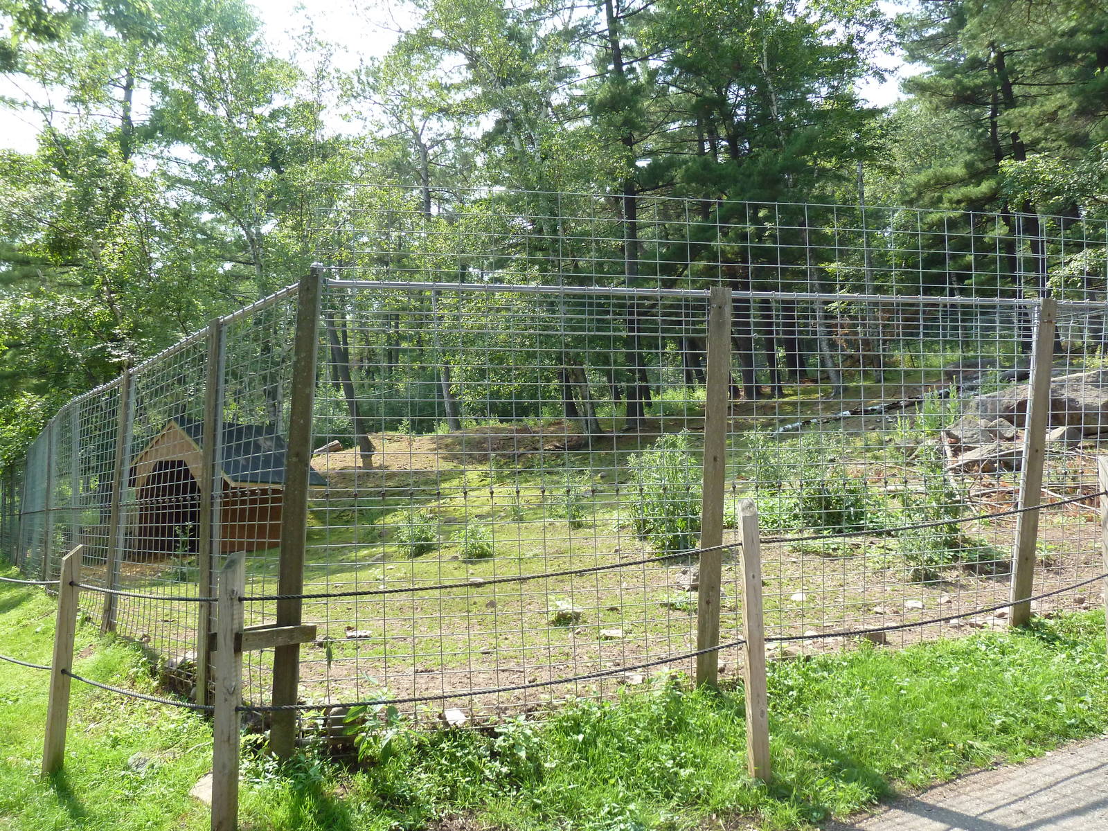 Northern Territory - Pere David's Deer Exhibit