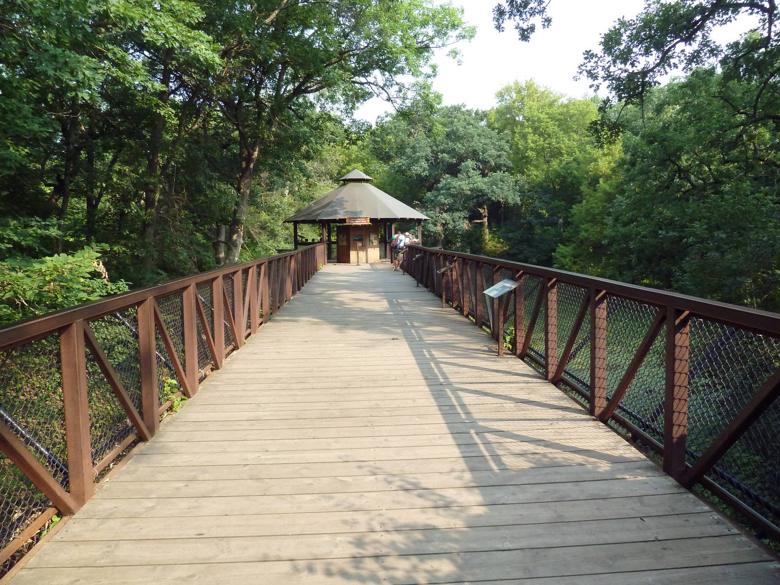 Northern Trail - Amur Tiger Exhibit Boardwalk