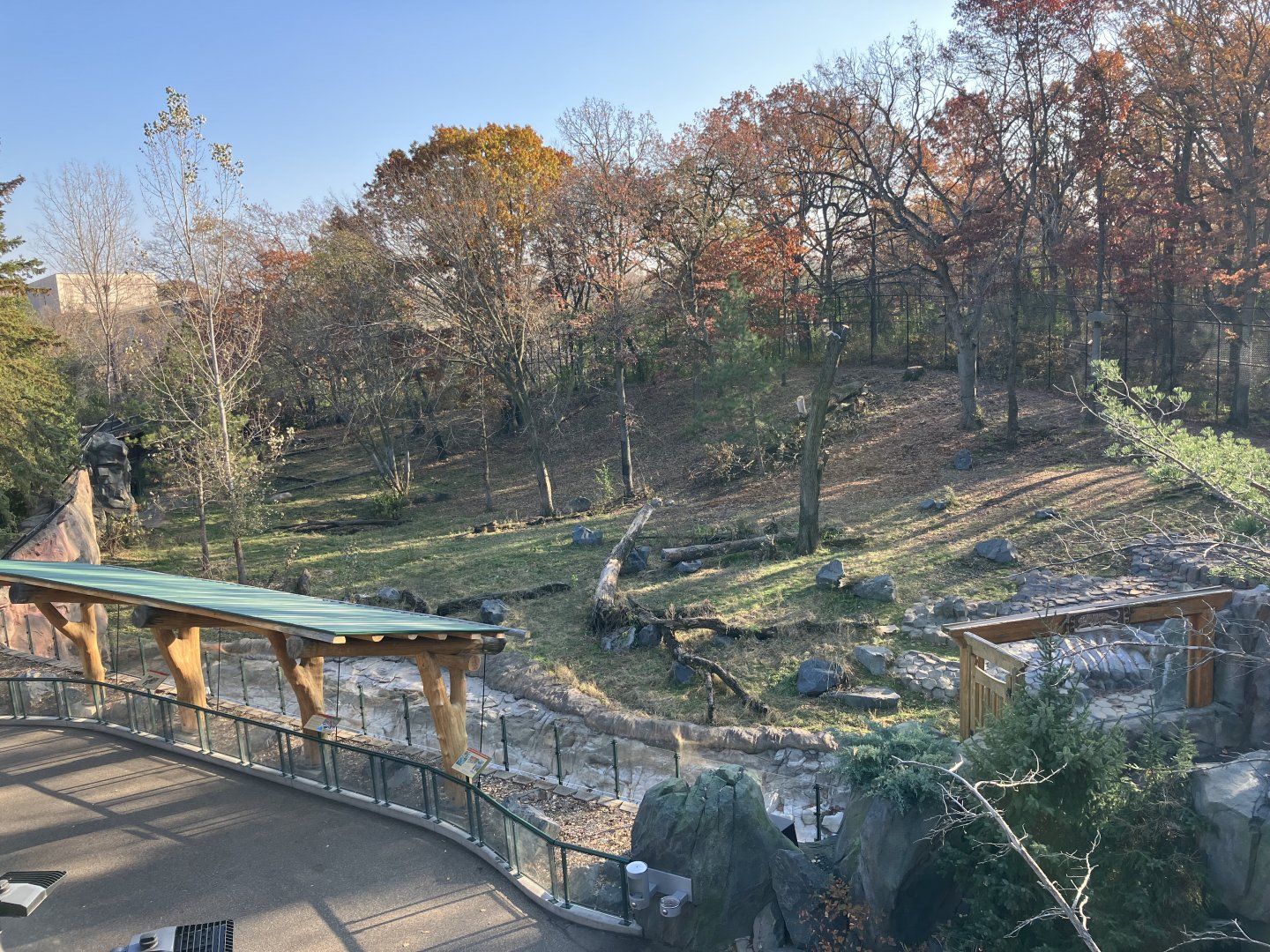 Northern Trail - Amur Tiger Exhibit