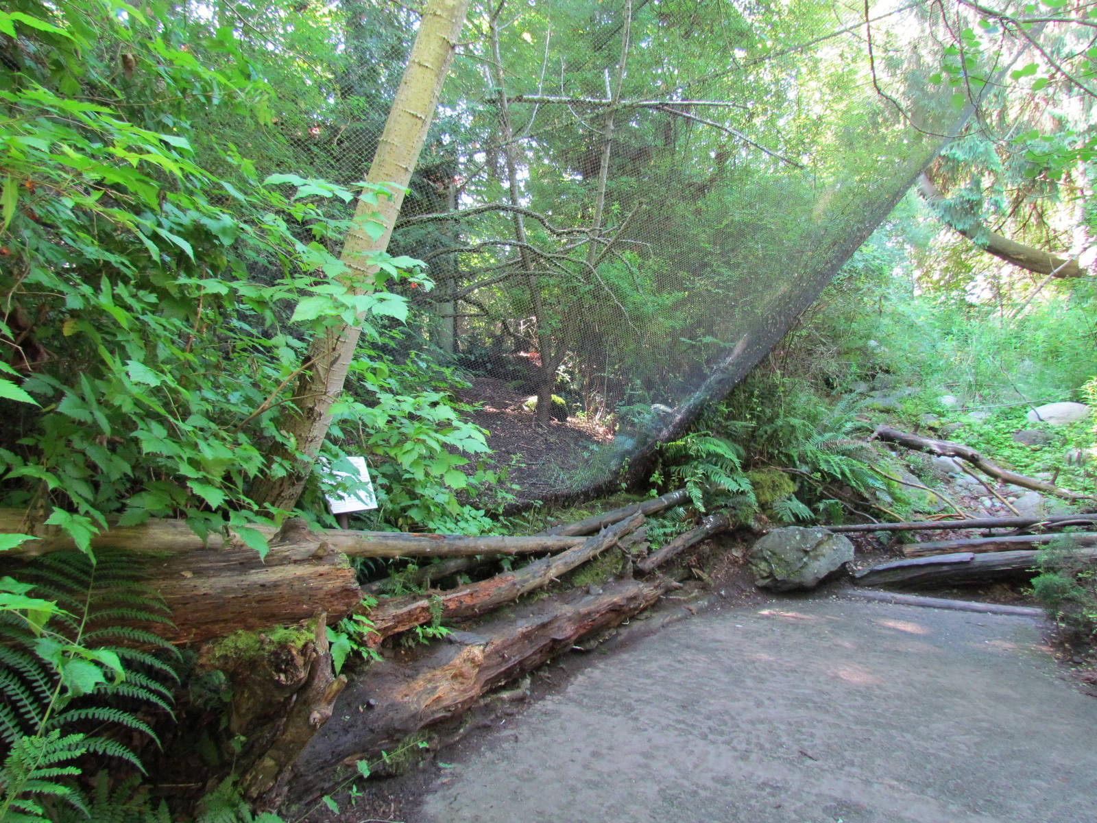 Northern Trail - Barred Owl Aviary