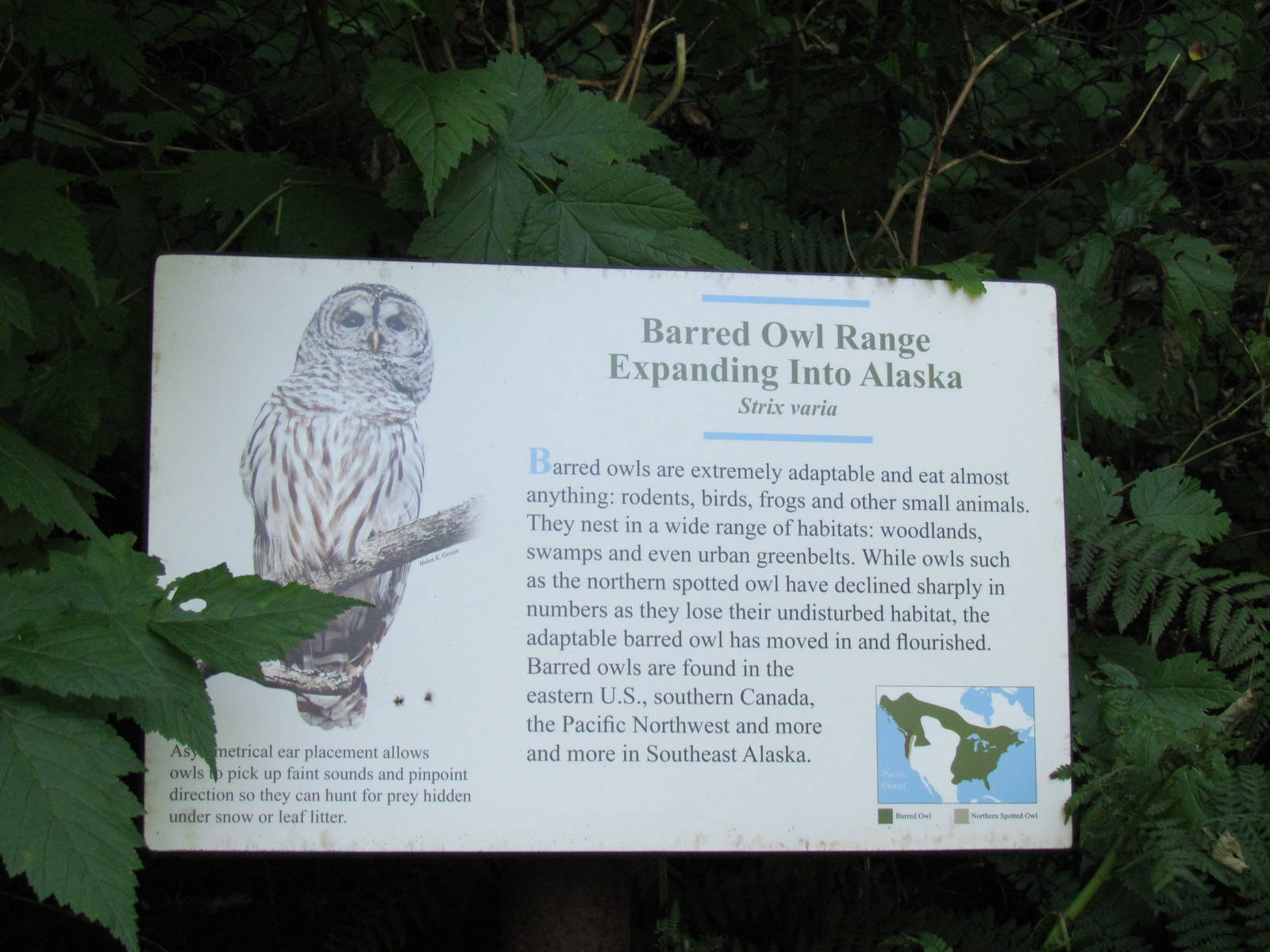 Northern Trail - Barred Owl Signage