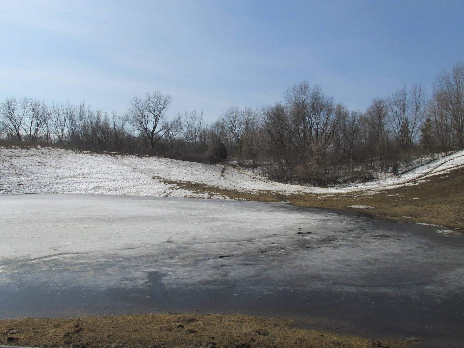 Northern Trail Bison Exhibit