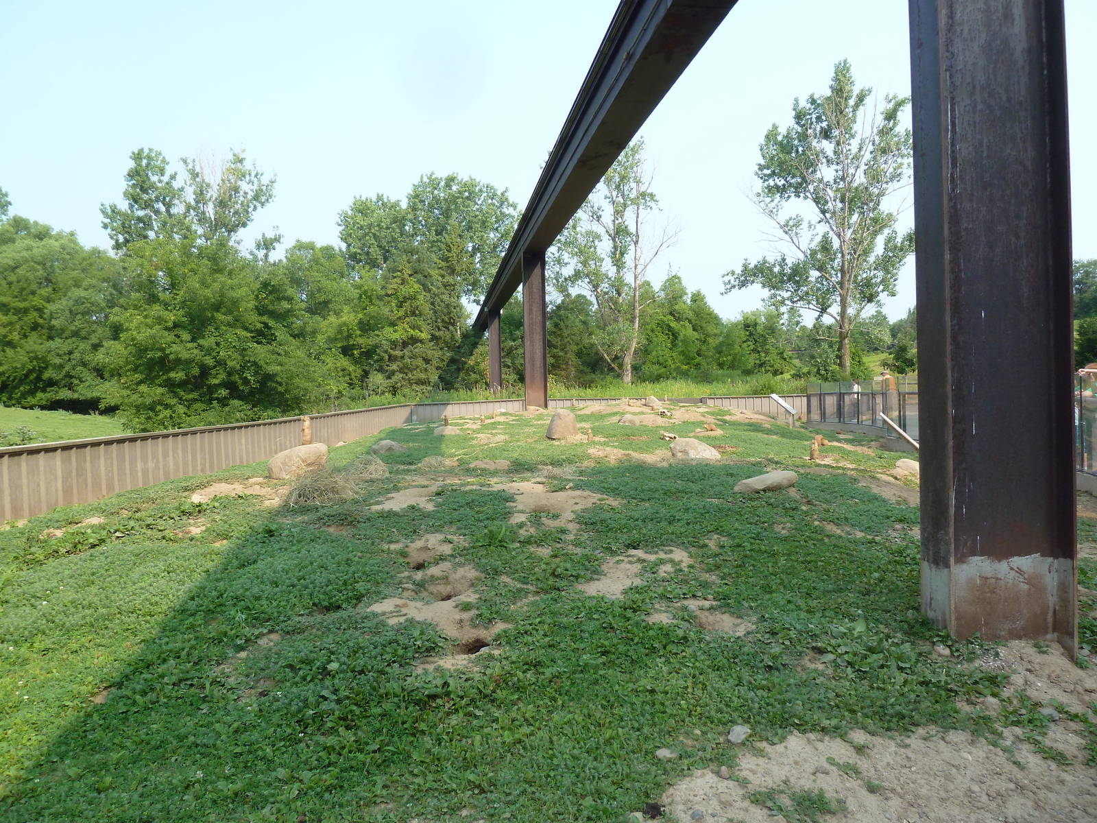 Northern Trail - Black-Tailed Prairie Dog Exhibit + Monorail Track