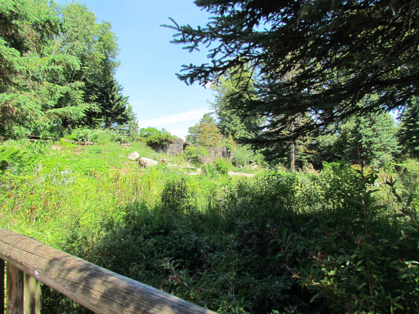 Northern Trail - Brown Bear Exhibit