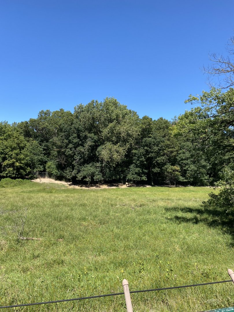 Northern trail- caribou exhibit