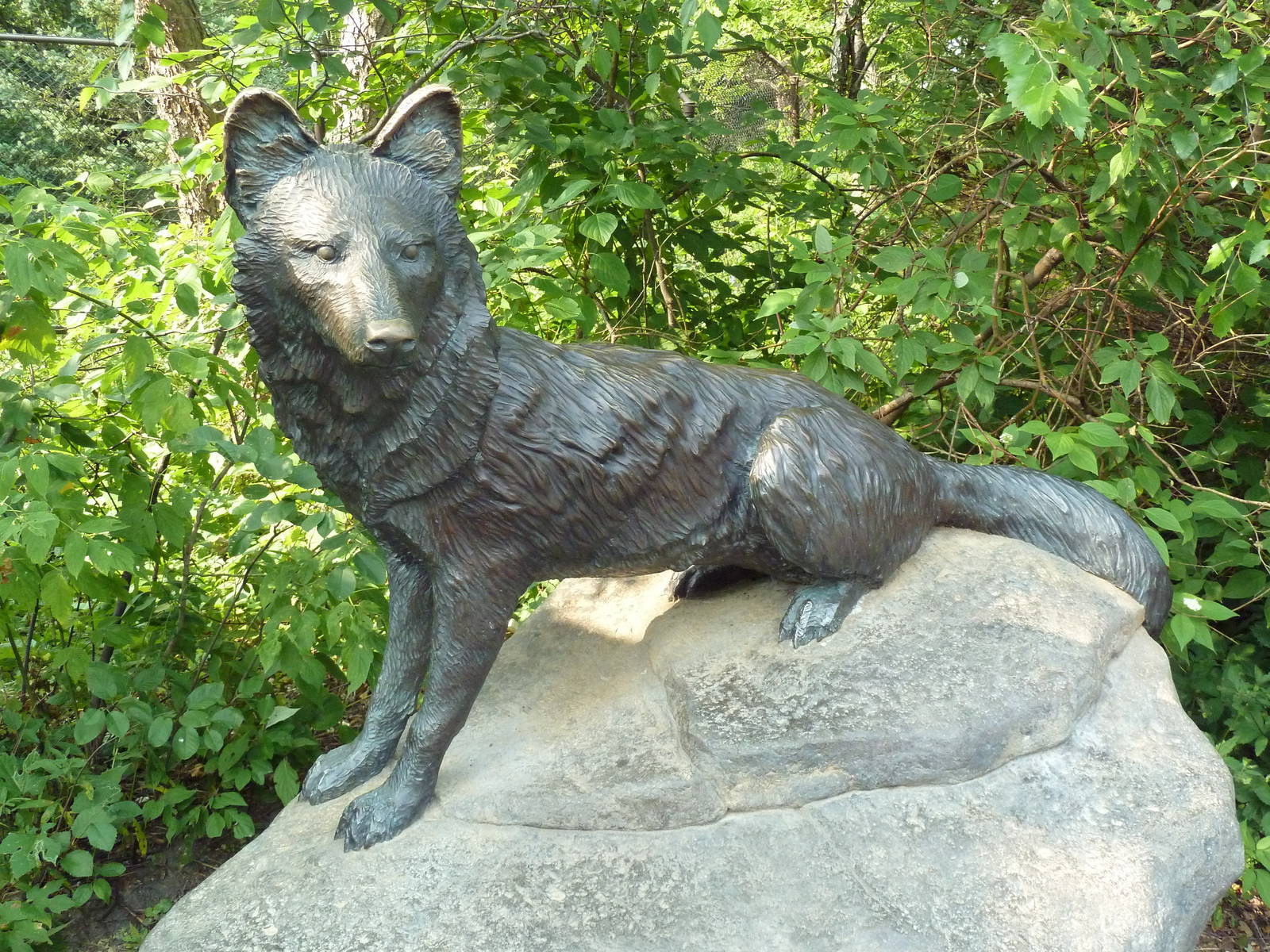 Northern Trail - Dhole Exhibit Statue
