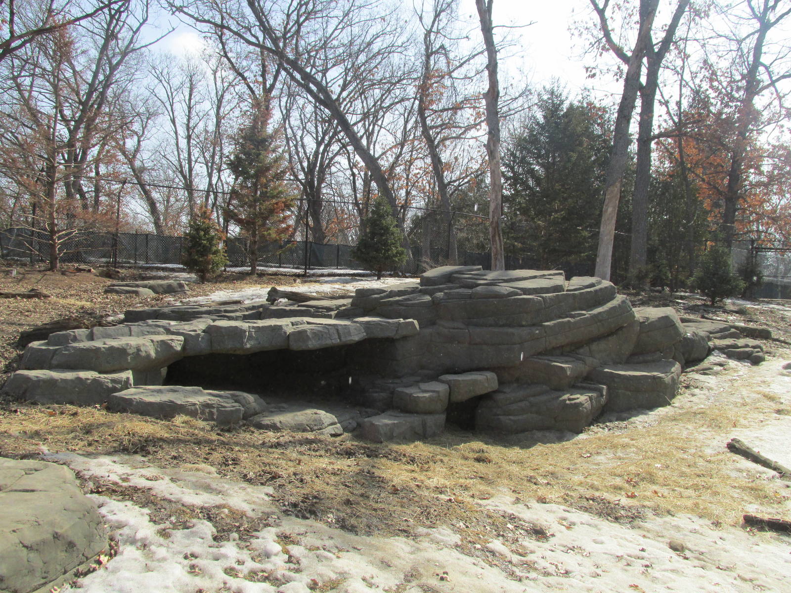 Northern Trail Dhole Exhibit