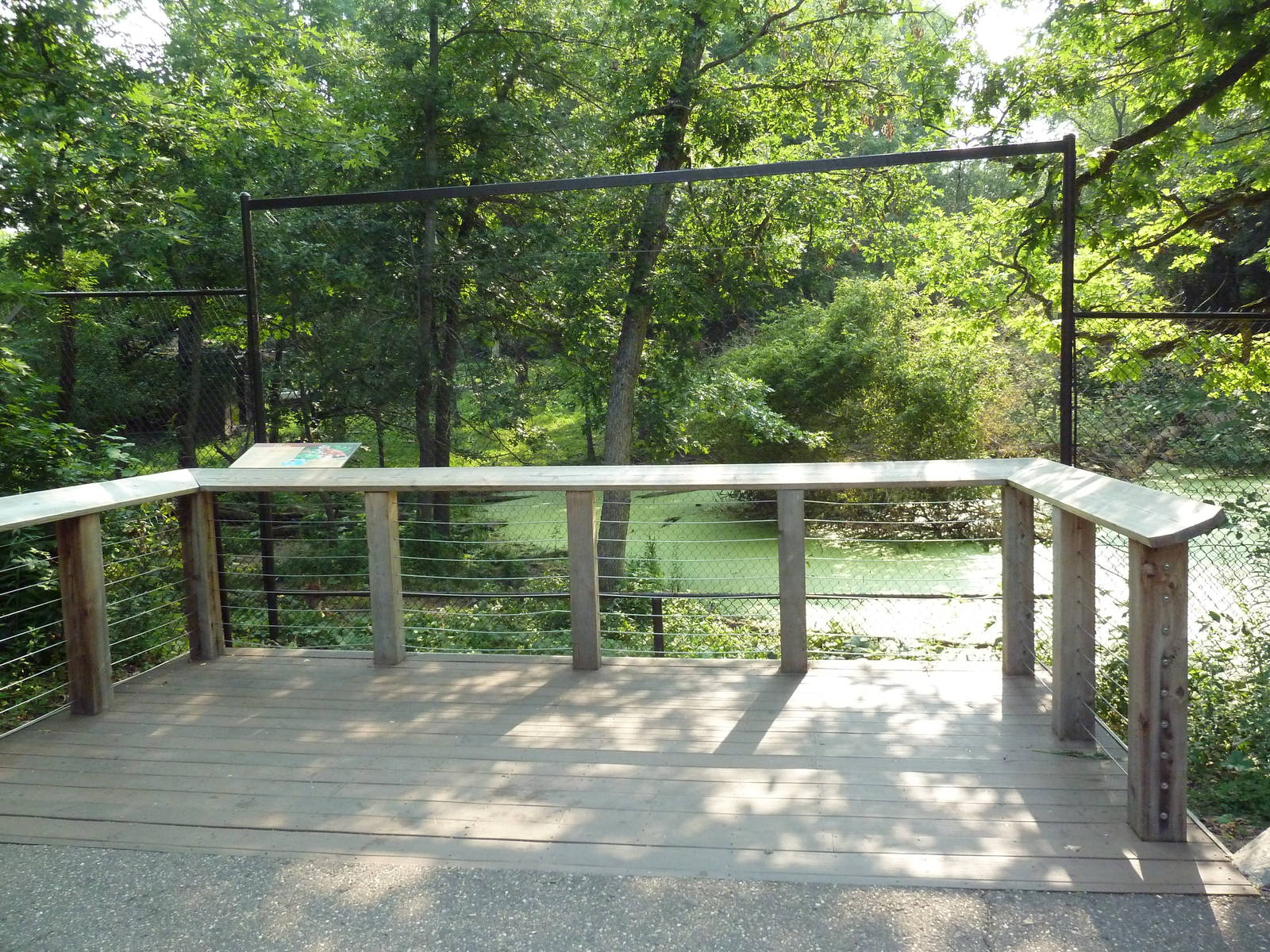 Northern Trail - Dhole Exhibit