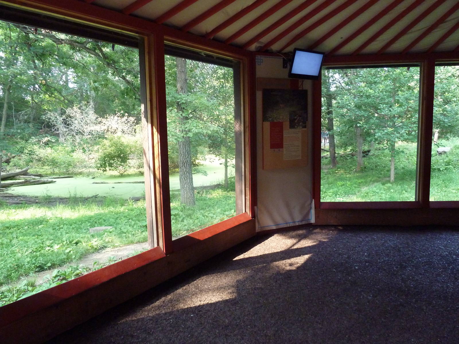 Northern Trail - Dhole Exhibit