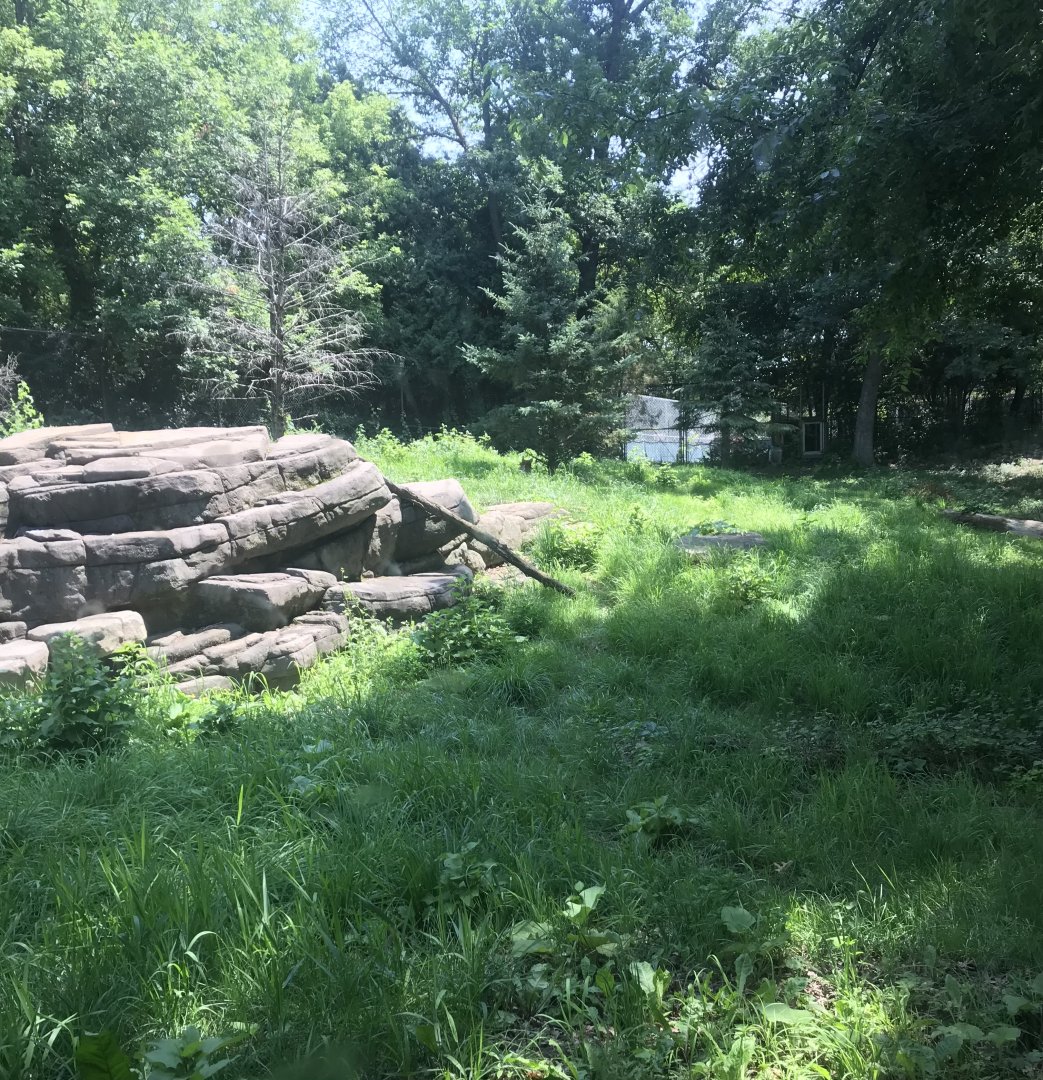 Northern trail- dhole exhibit