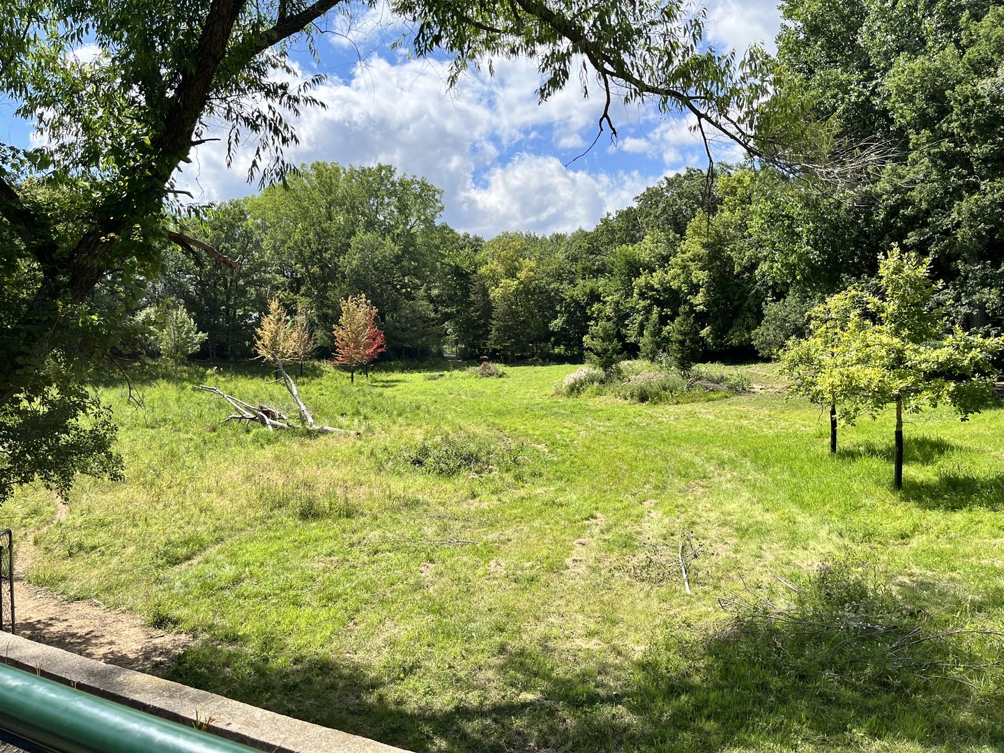 Northern Trail - Domestic Reindeer Exhibit