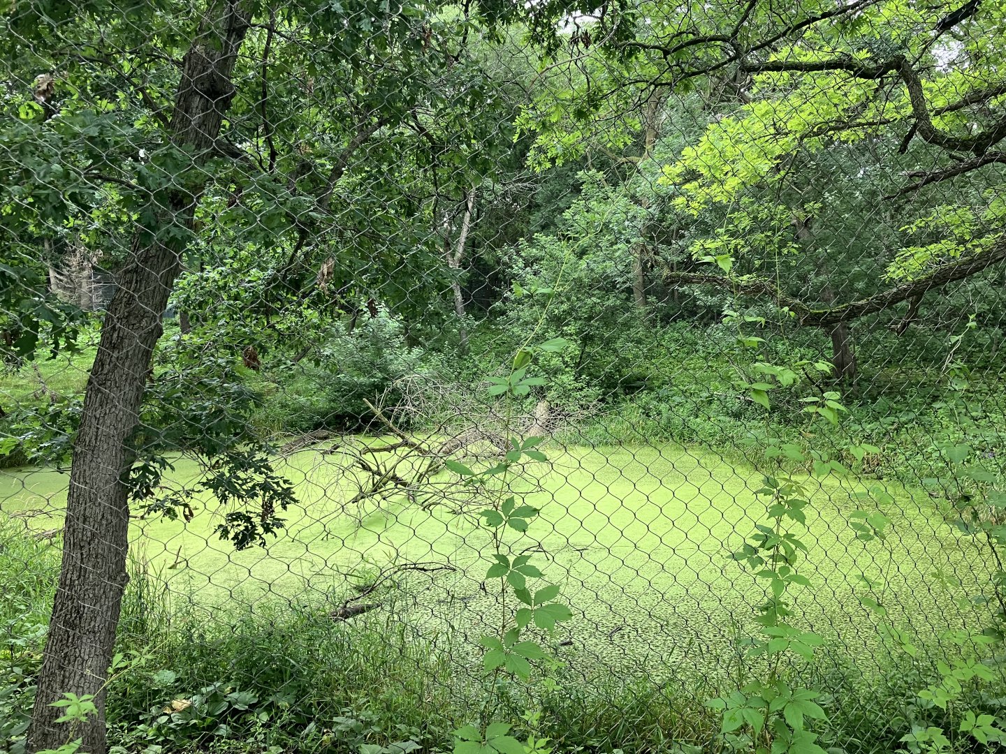 Northern Trail - Former Dhole Exhibit